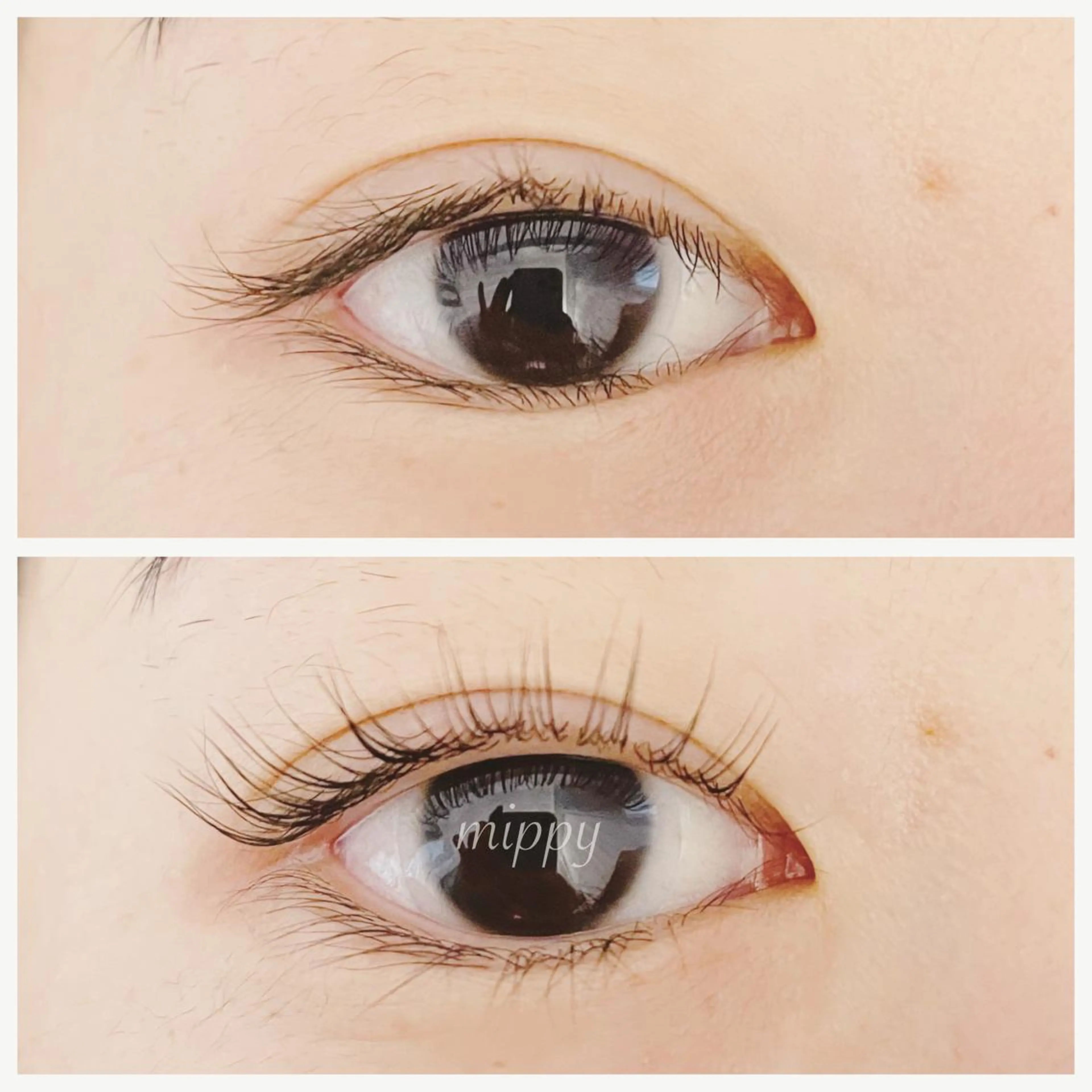 マツエク・マツパ パリジェンヌラッシュリフト ｍｉｐｐｙ 🪽のマツエク・マツパデザイン