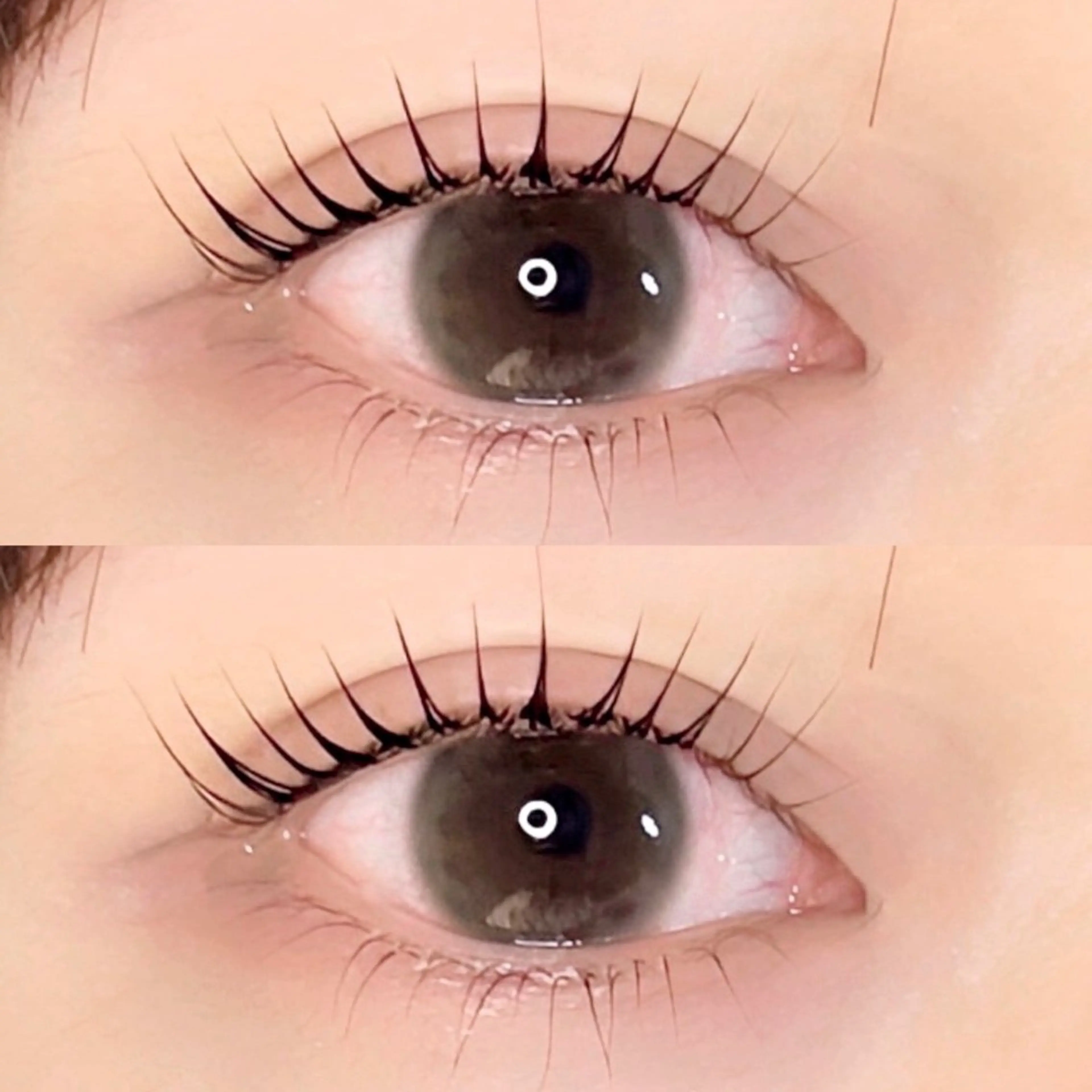 【まつ毛パーマ】低ダメージ！ラッシュリフト上下☁　　☁　　☁　　☁　　☁　　☁　　☁次世代まつ毛パーマ◎の写真