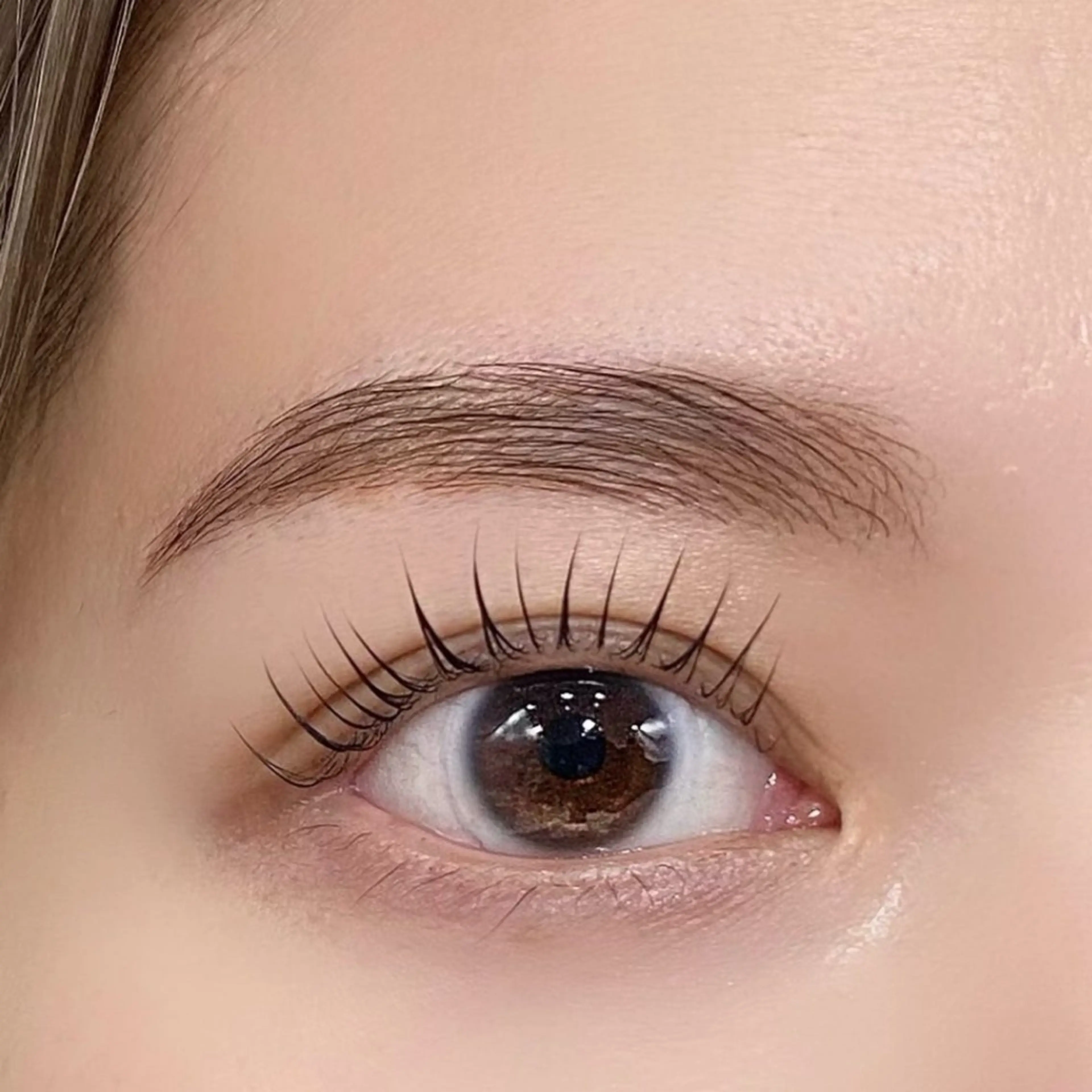 【12月限定特別価格🎄🎅】選べるパリジェンヌorまつげパーマの写真