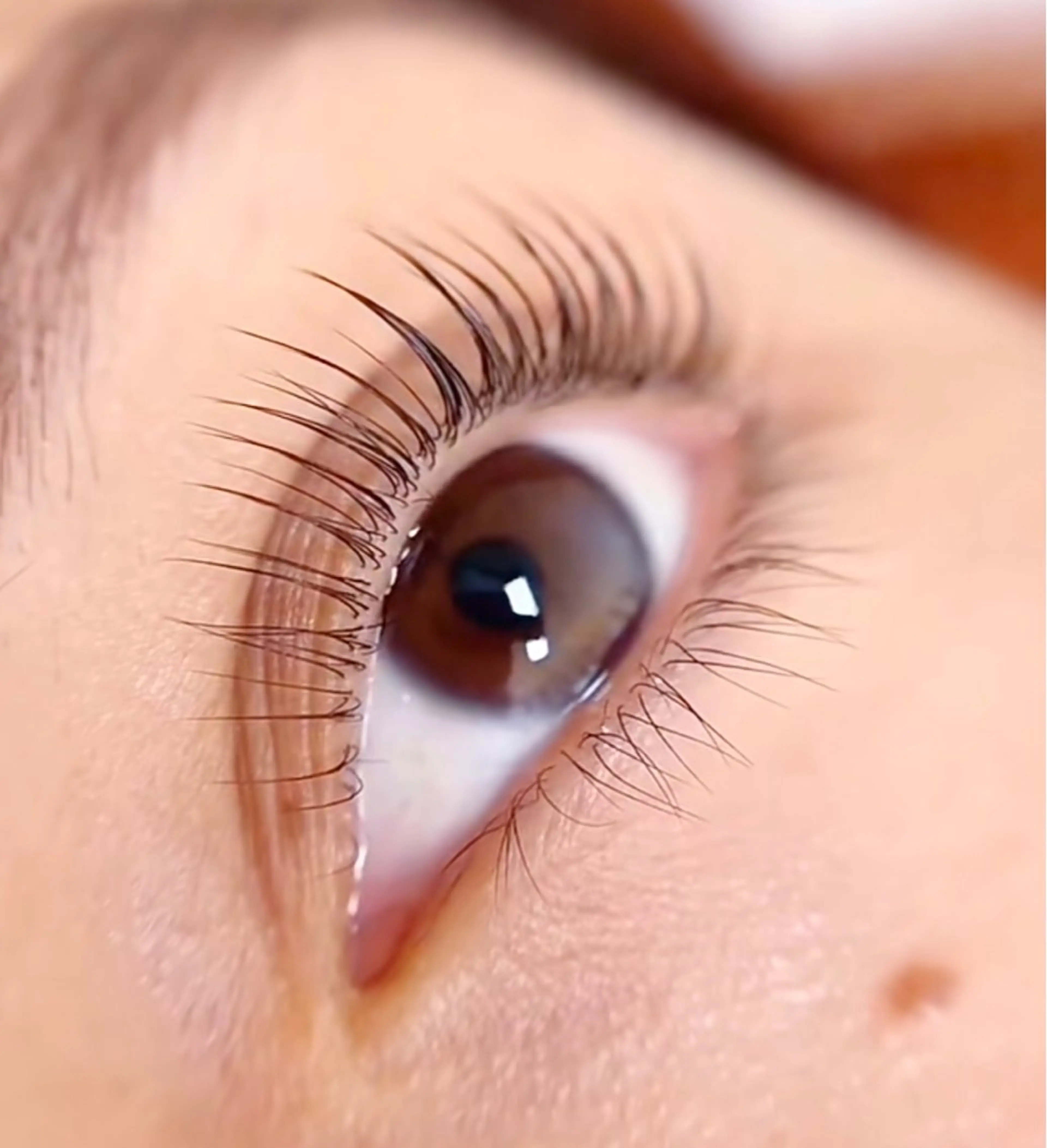 ご新規様【パリジェンヌ上下】12000→¥9980　土日祝日/平日16時以降＋￥550の写真