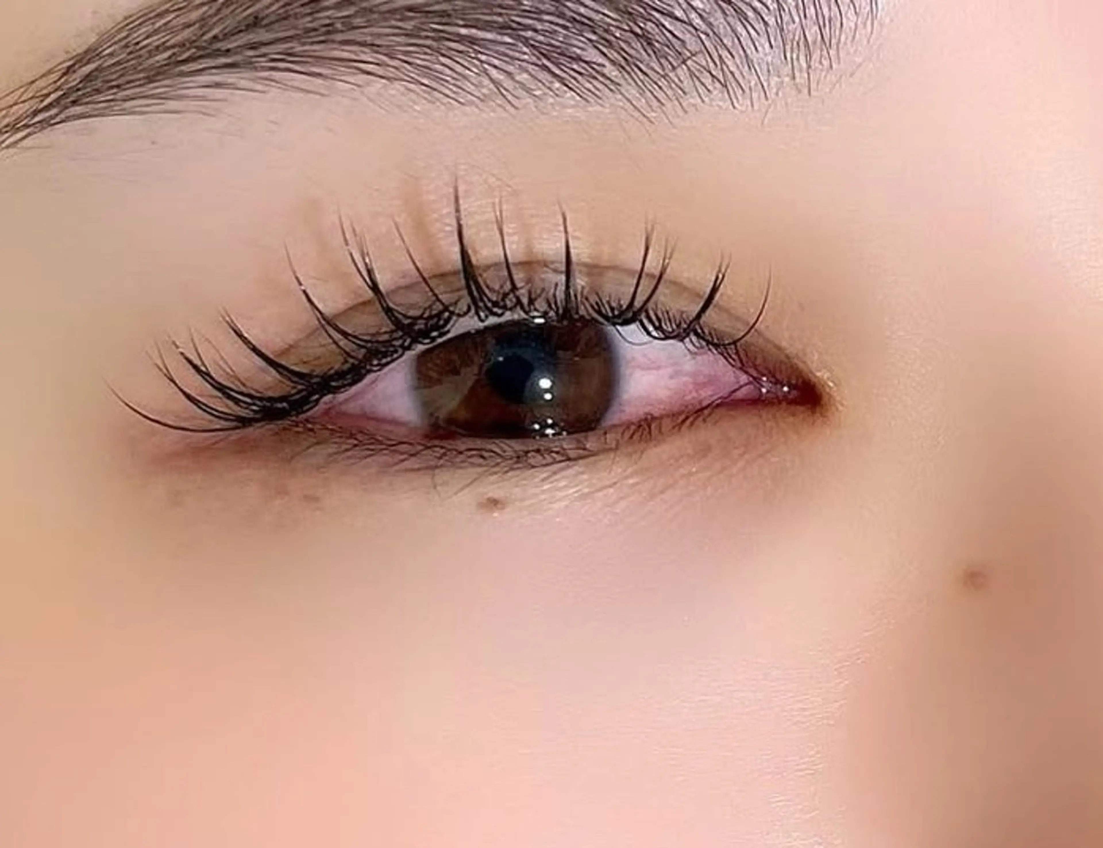 ⚠️エリア中目黒⚠️11/26限定❗️眉Wax、上まつ毛エクステ本数100本前後の写真