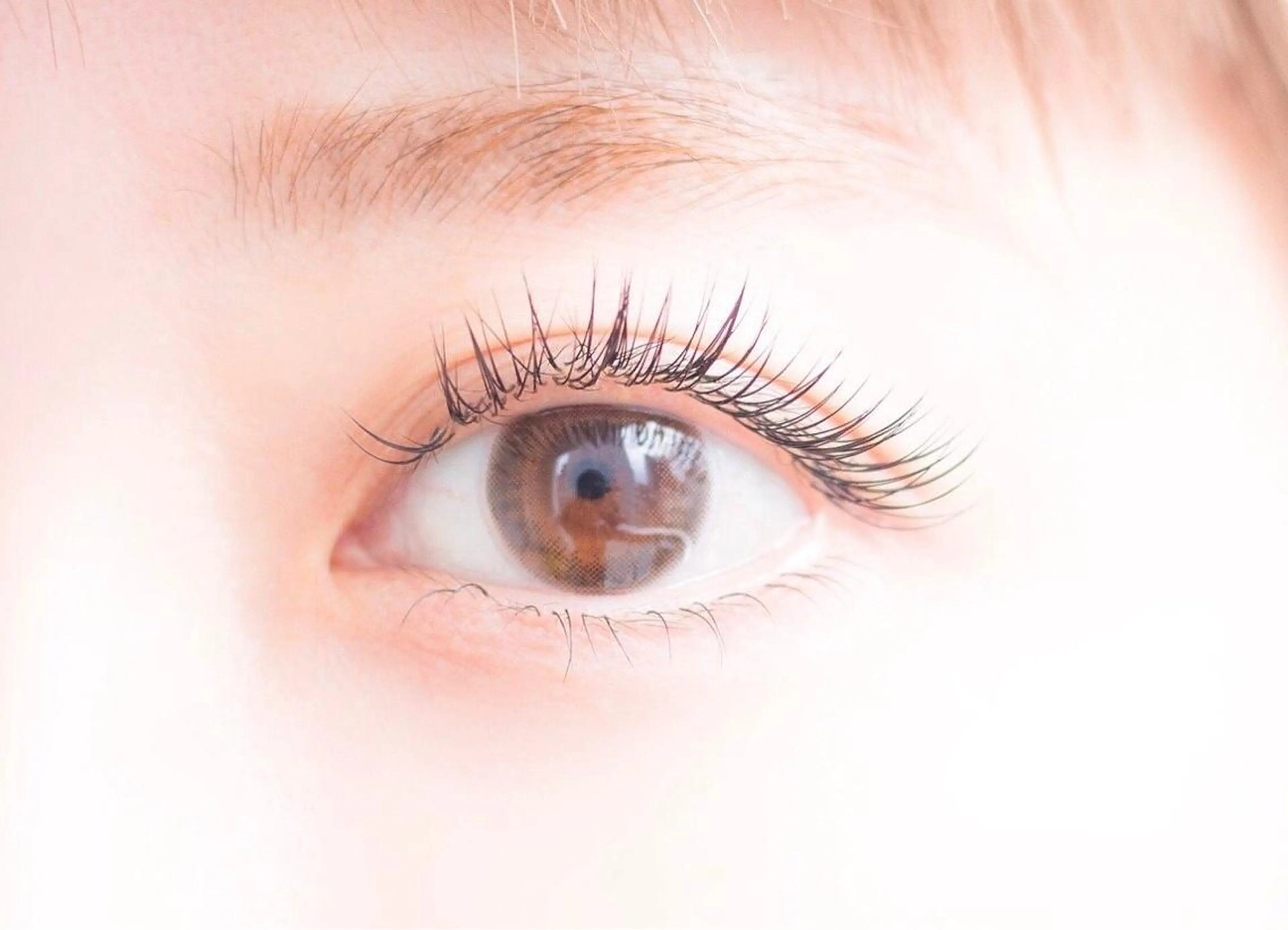 マツエク・マツパ CAFUNE 大角 杏樹のマツエク・マツパデザイン