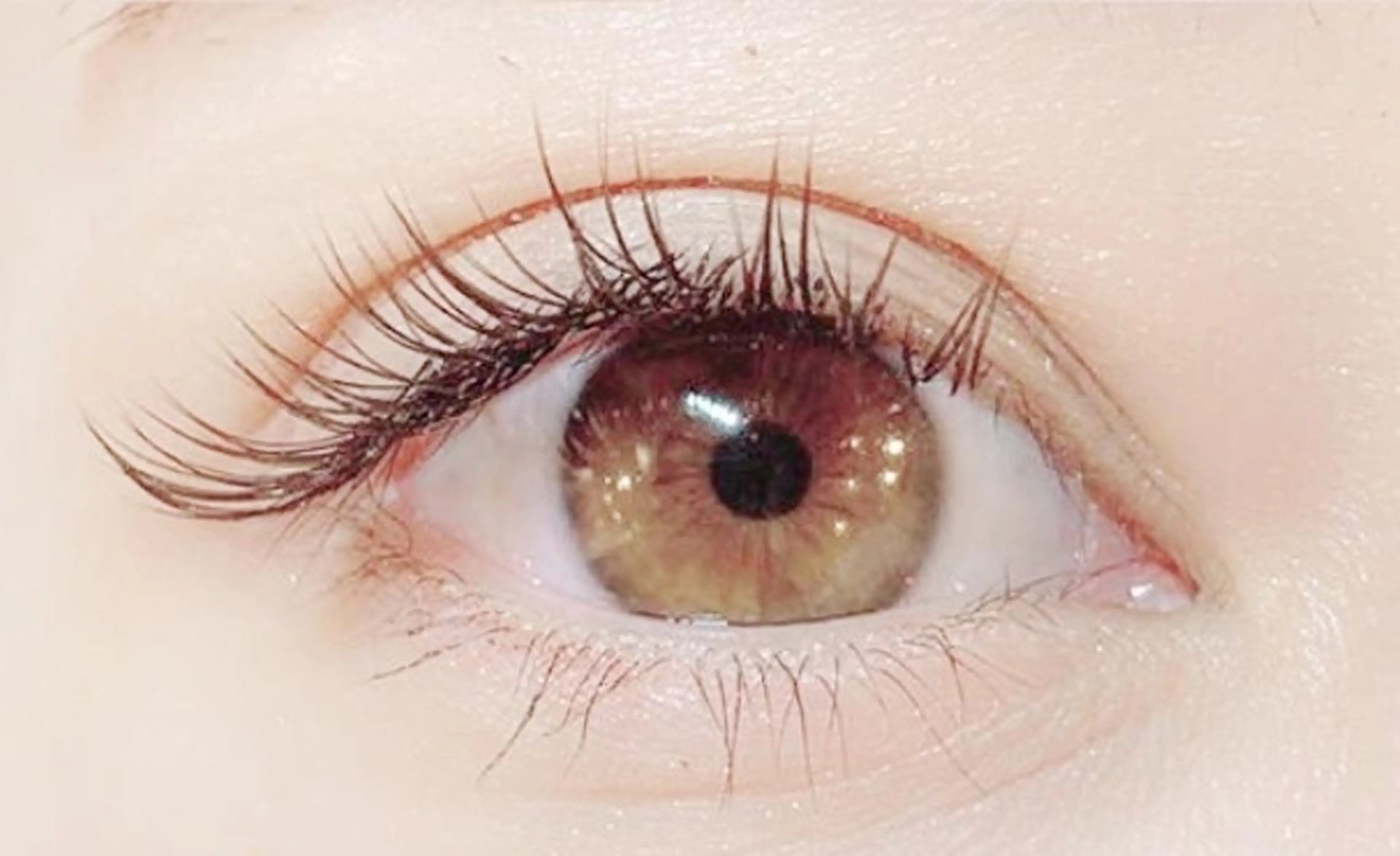 マツエク・マツパ フラットラッシュ セーブル 韓国風束感まつ毛🎀 Nanamiのマツエク・マツパデザイン