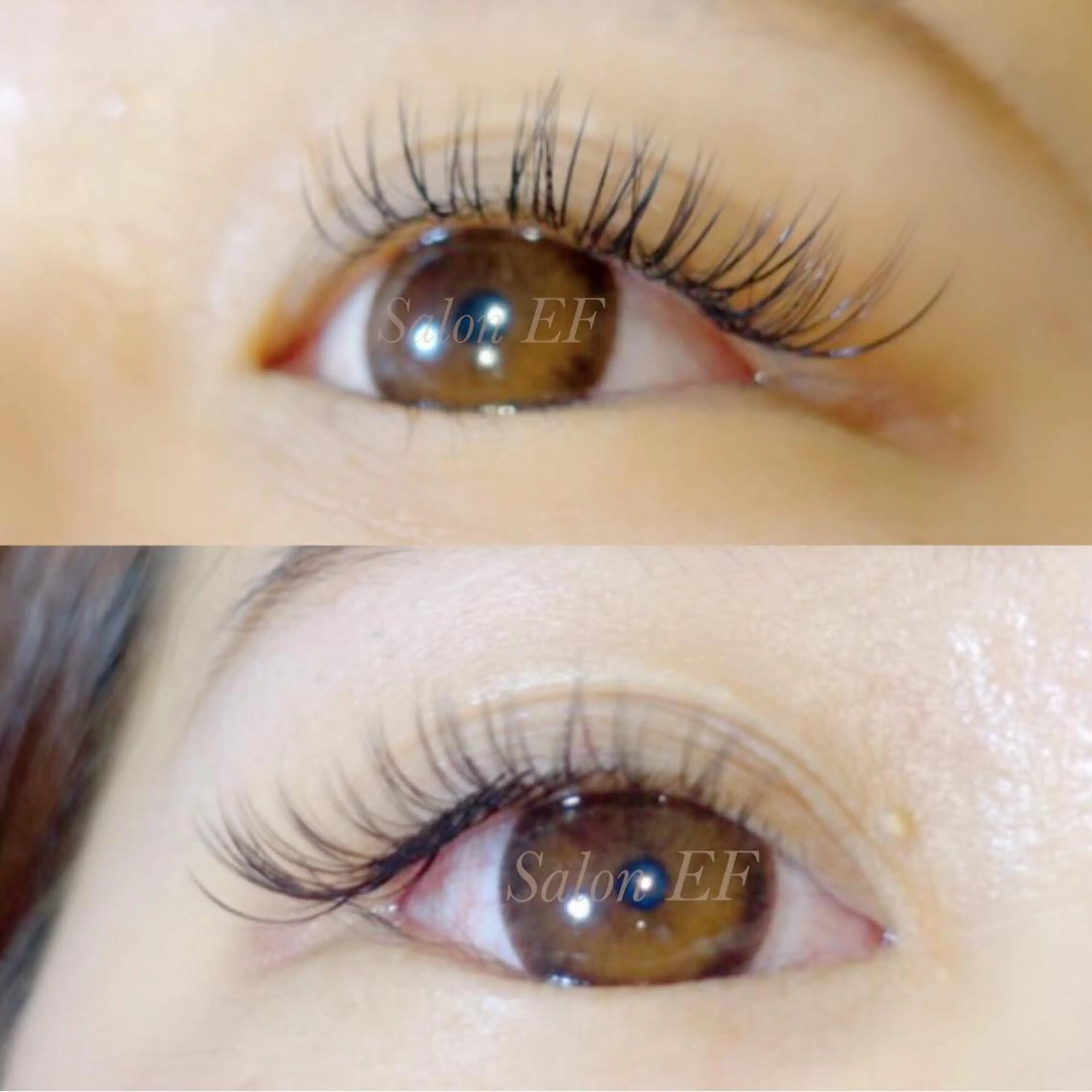 上まつげ フラットラッシュ👁✨片目60本(両目で120本)の写真