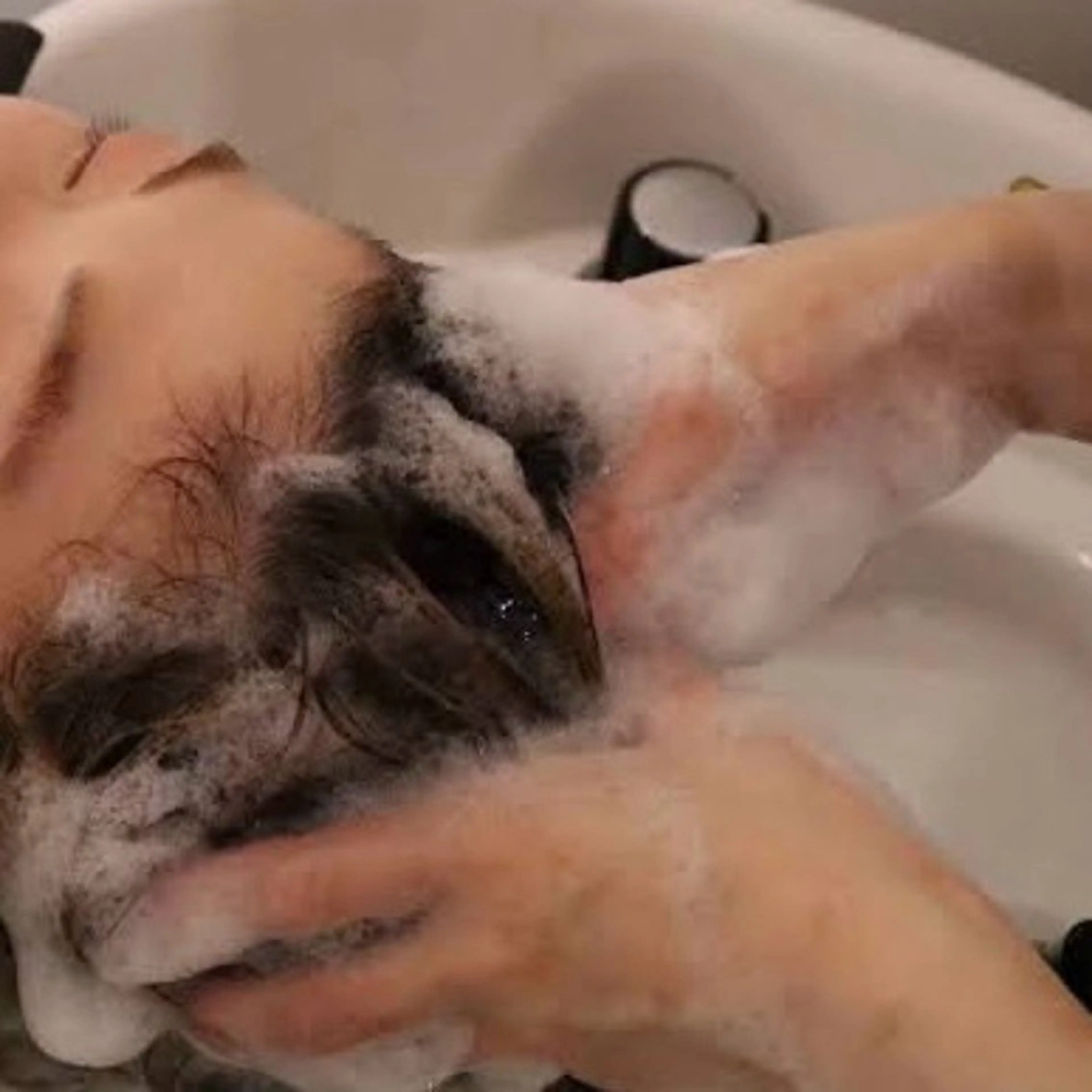 【リフレッシュキャンペーン】カットが無料！+癒しのヘッドスパ(10分)の写真