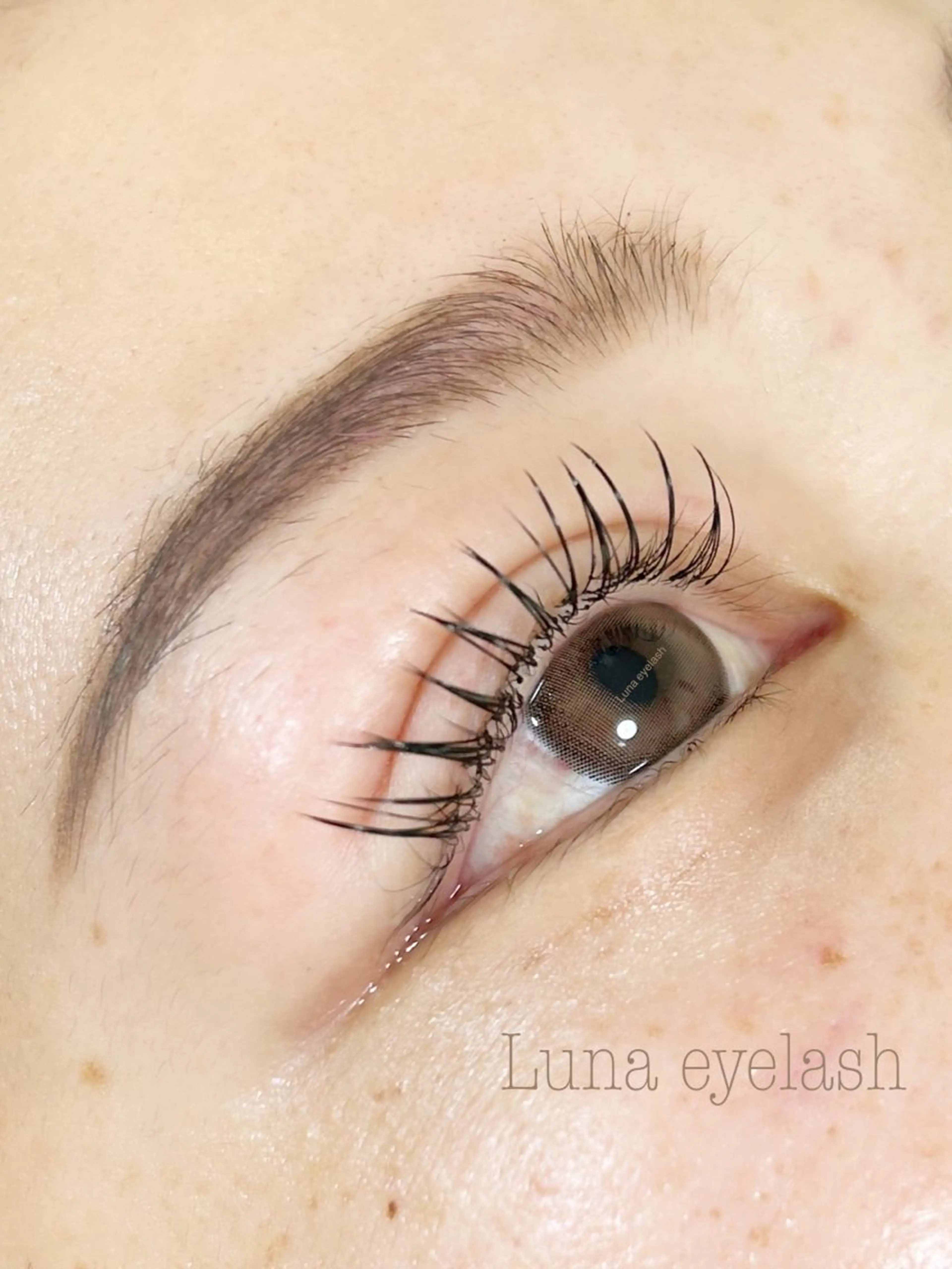 LED記念✨LEDフラットマットラッシュ100本5500円の写真