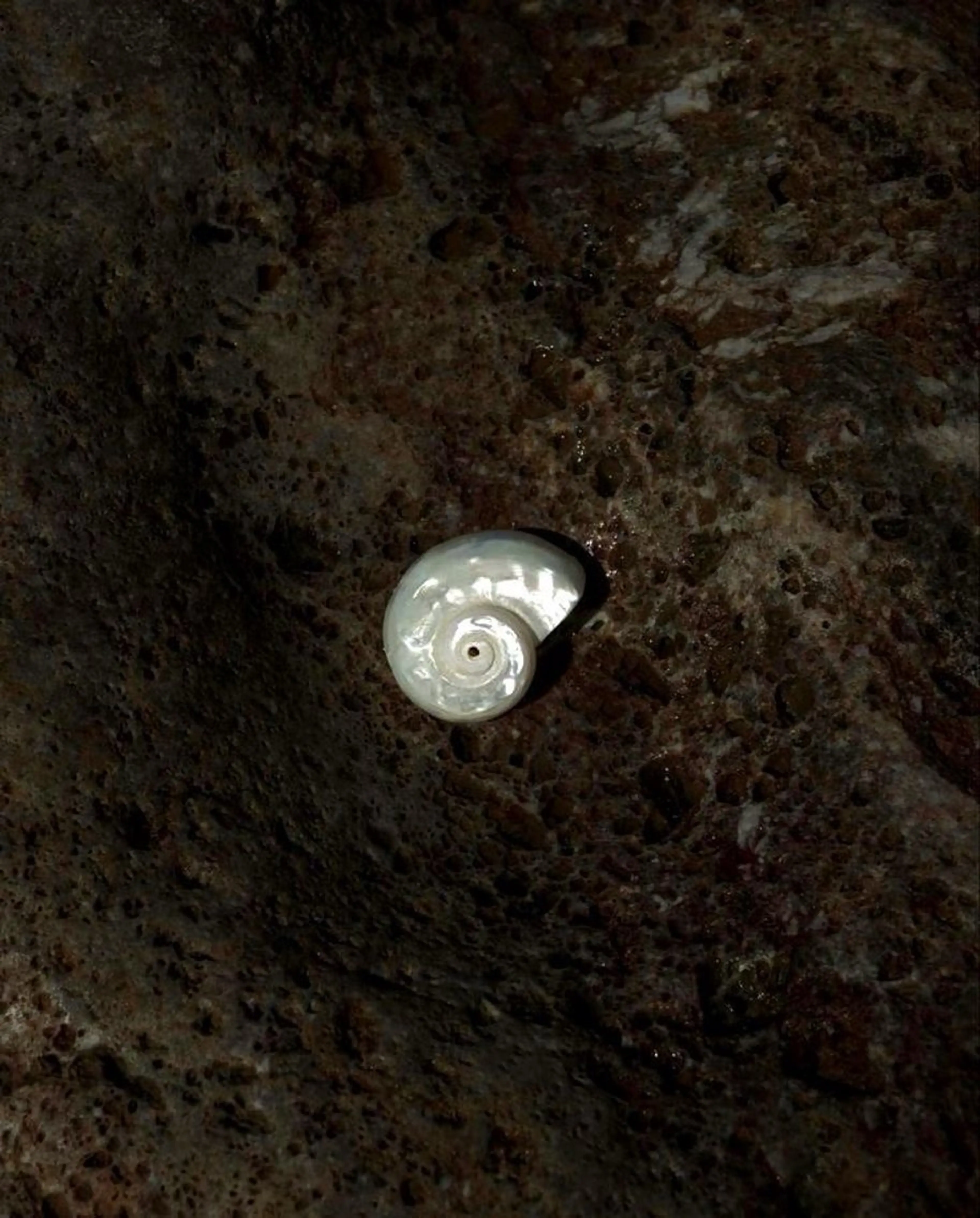 ネイル rina🎀 ご新規様受付中🌷のネイルデザイン