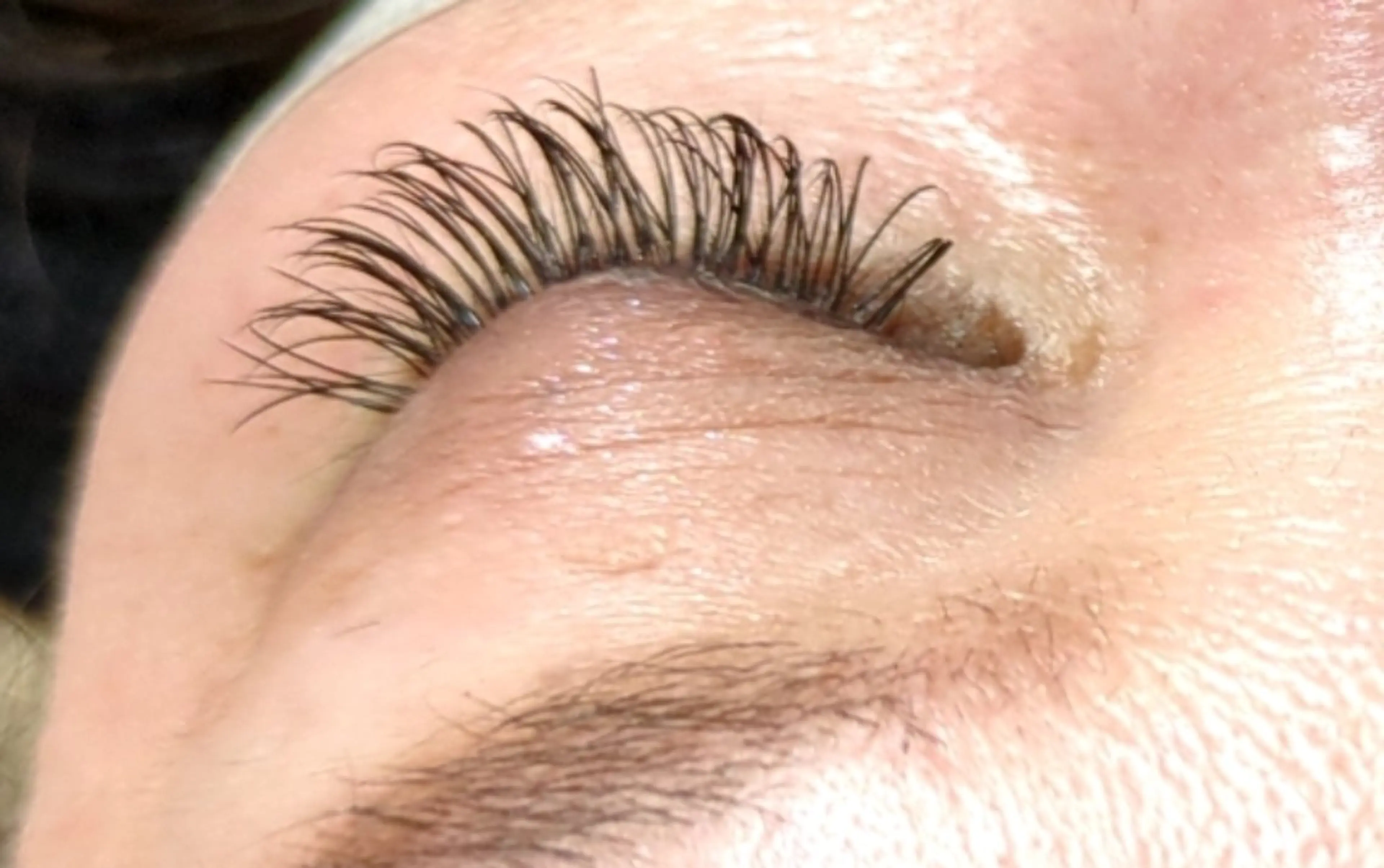 新規限定✨️フラットラッシュ🌿他店オフ込み🌿160本🌸の写真