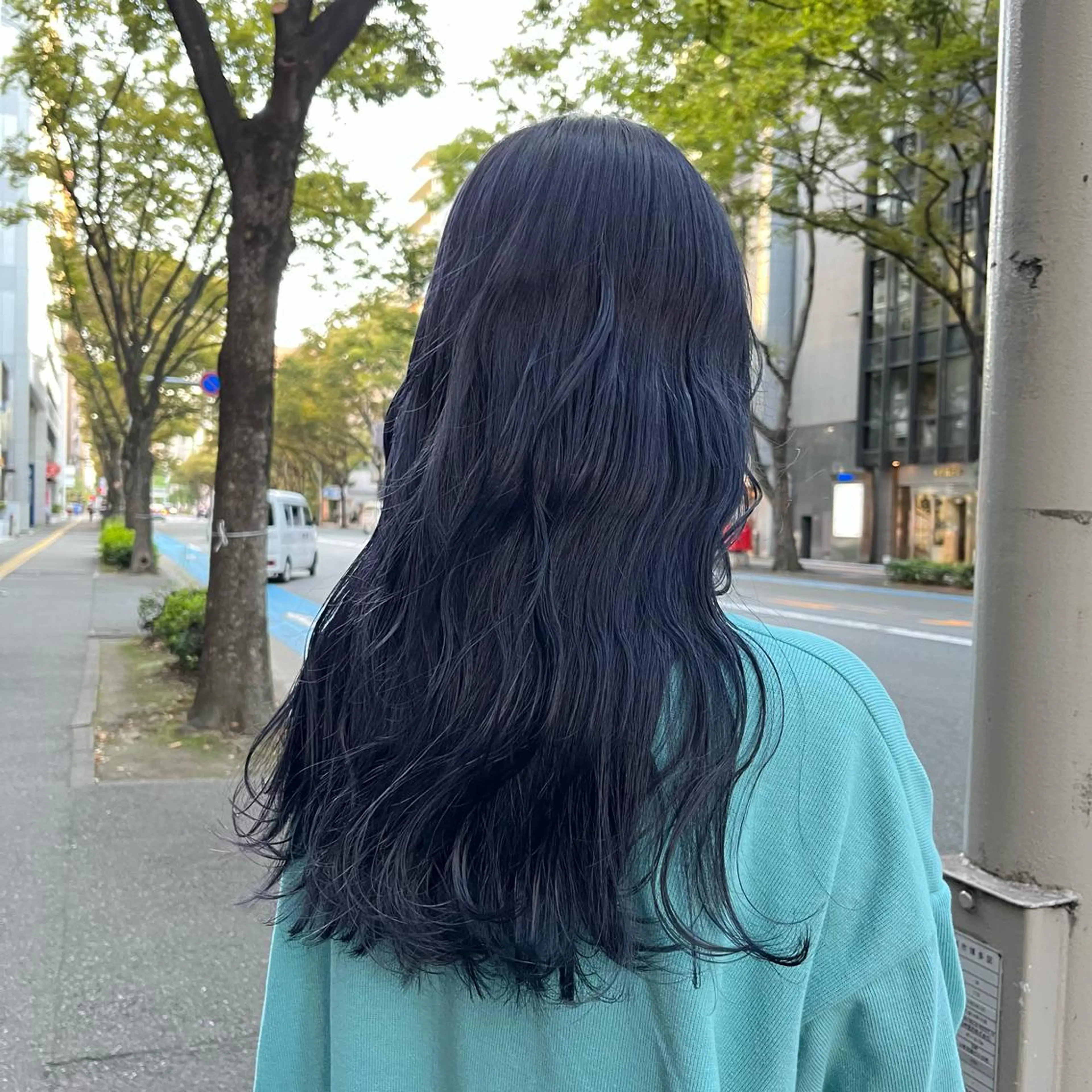 カラー 黒髪 ネイビーカラー こまつばらみお/レイ ヤー/ダブルカラーのヘアスタイル