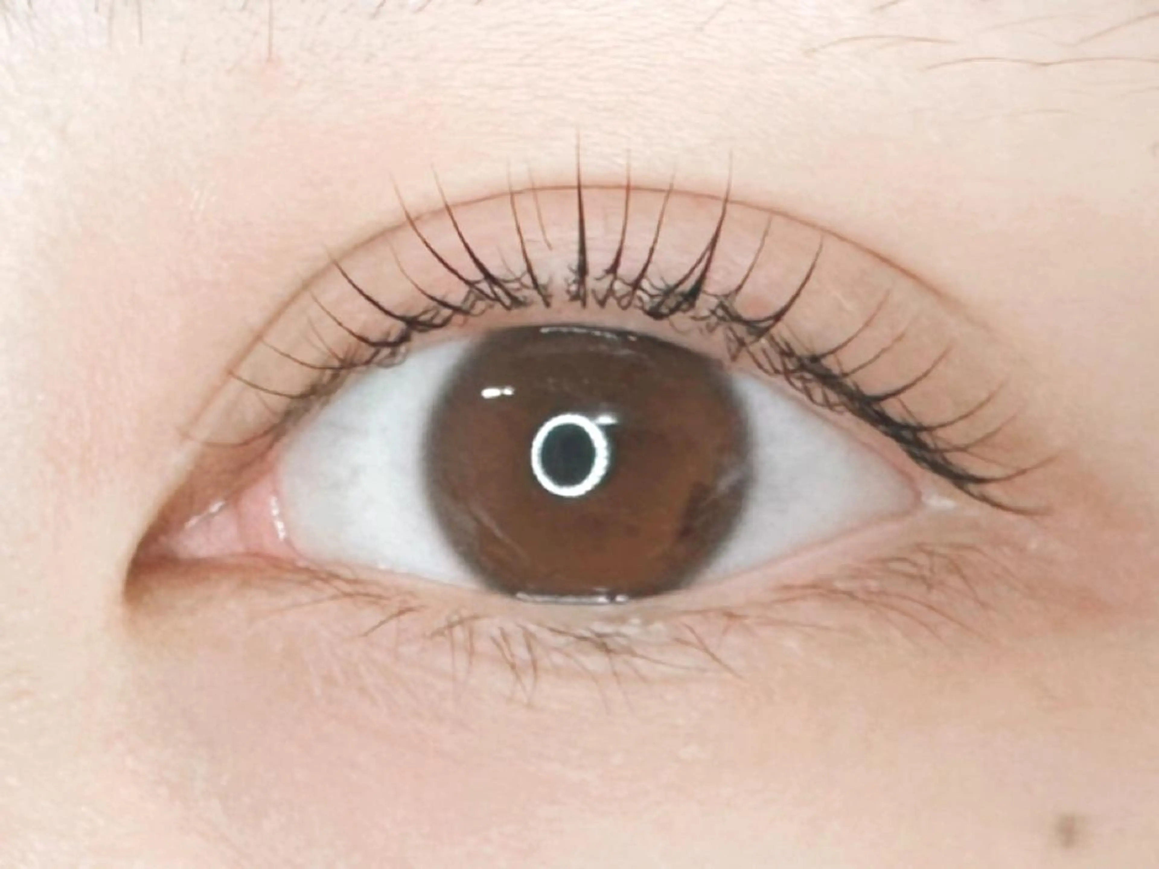 マツエク・マツパ まつげパーマ マツパ 𝐉𝐎𝐋𝐈 アイリスト ❤︎のマツエク・マツパデザイン