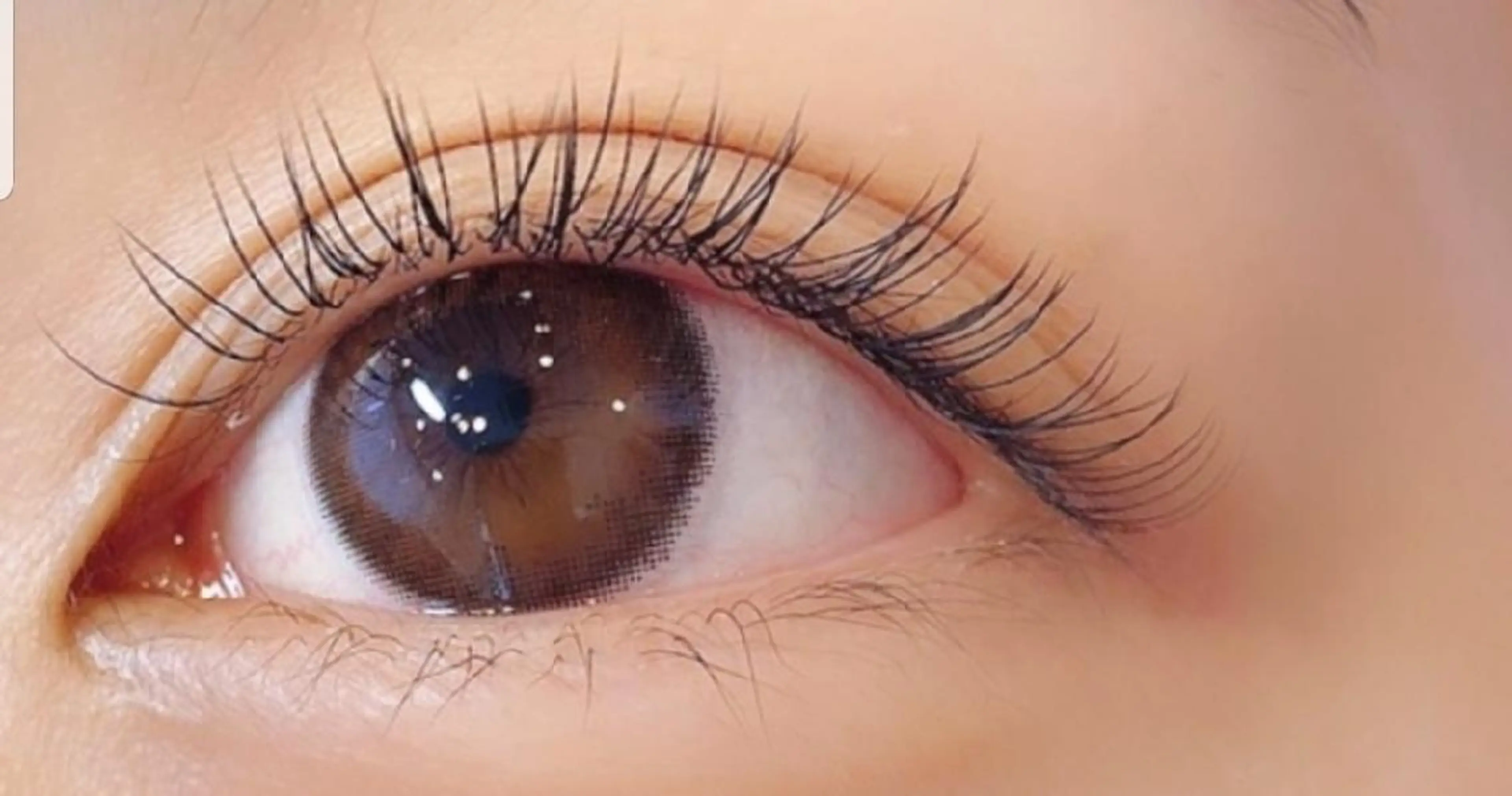 ⭕️1時間以内でのつけ放題！シングルラッシュマツエク上つけ放題の写真