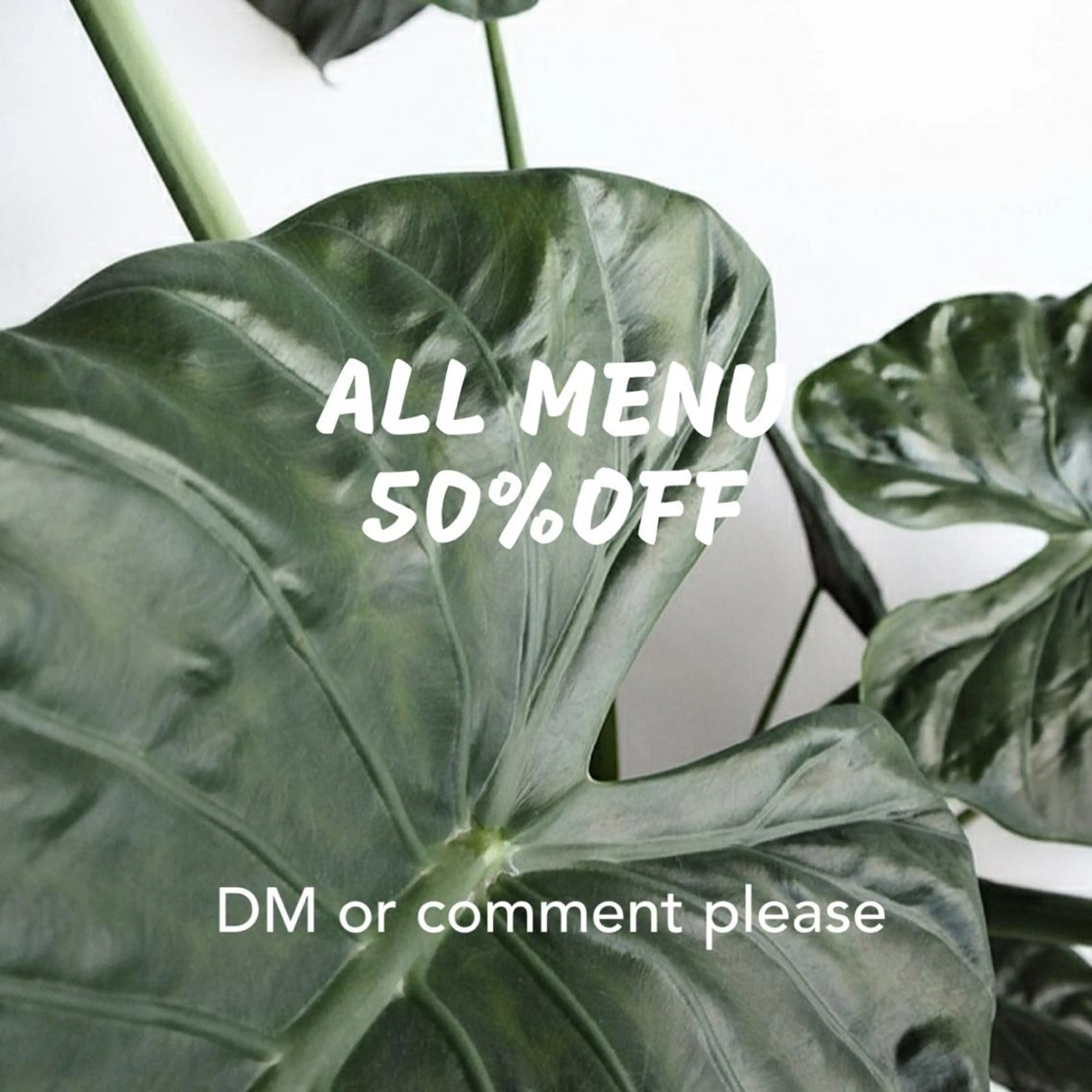 カラー Miku 🇺🇸のヘアスタイル