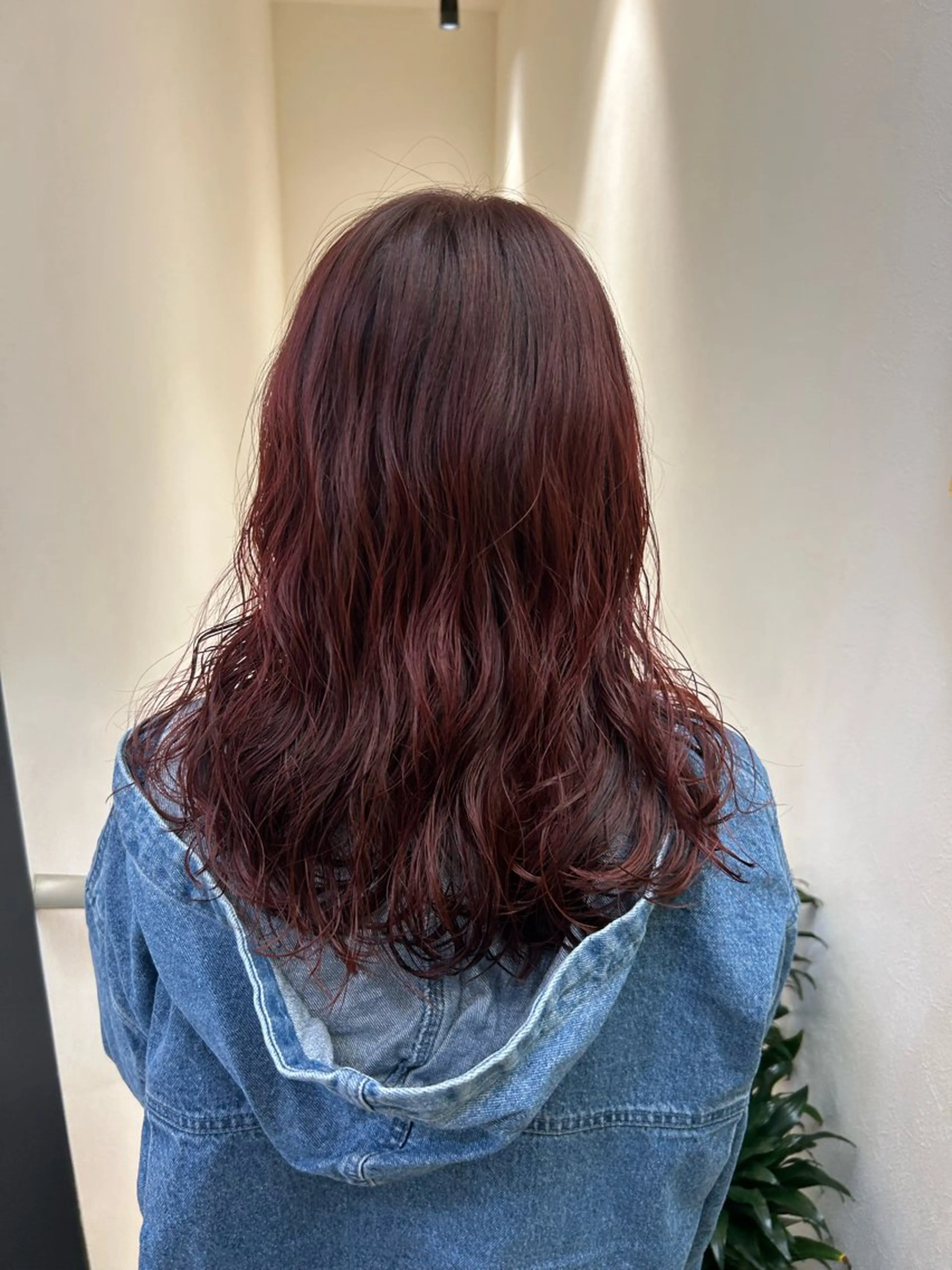 ロング カラー ブリーチ カシス ブリーチなしカラー レッドカラー hub hair レイヤー/透明感のヘアスタイル