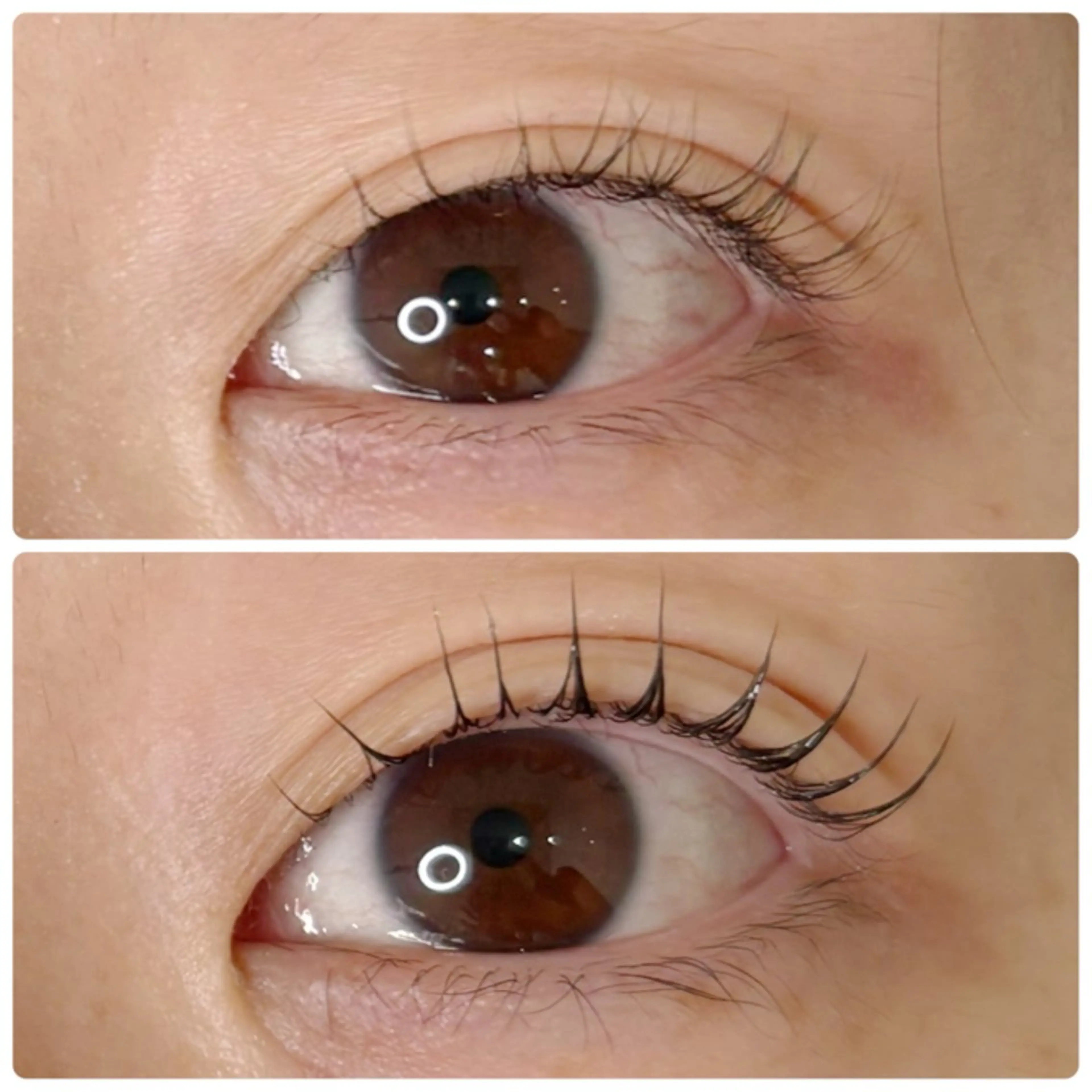 マツエク・マツパ 束感まつ毛 パリジェンヌラッシュリフト viviell🌙 高藤の眉毛・アイブロウイメージ