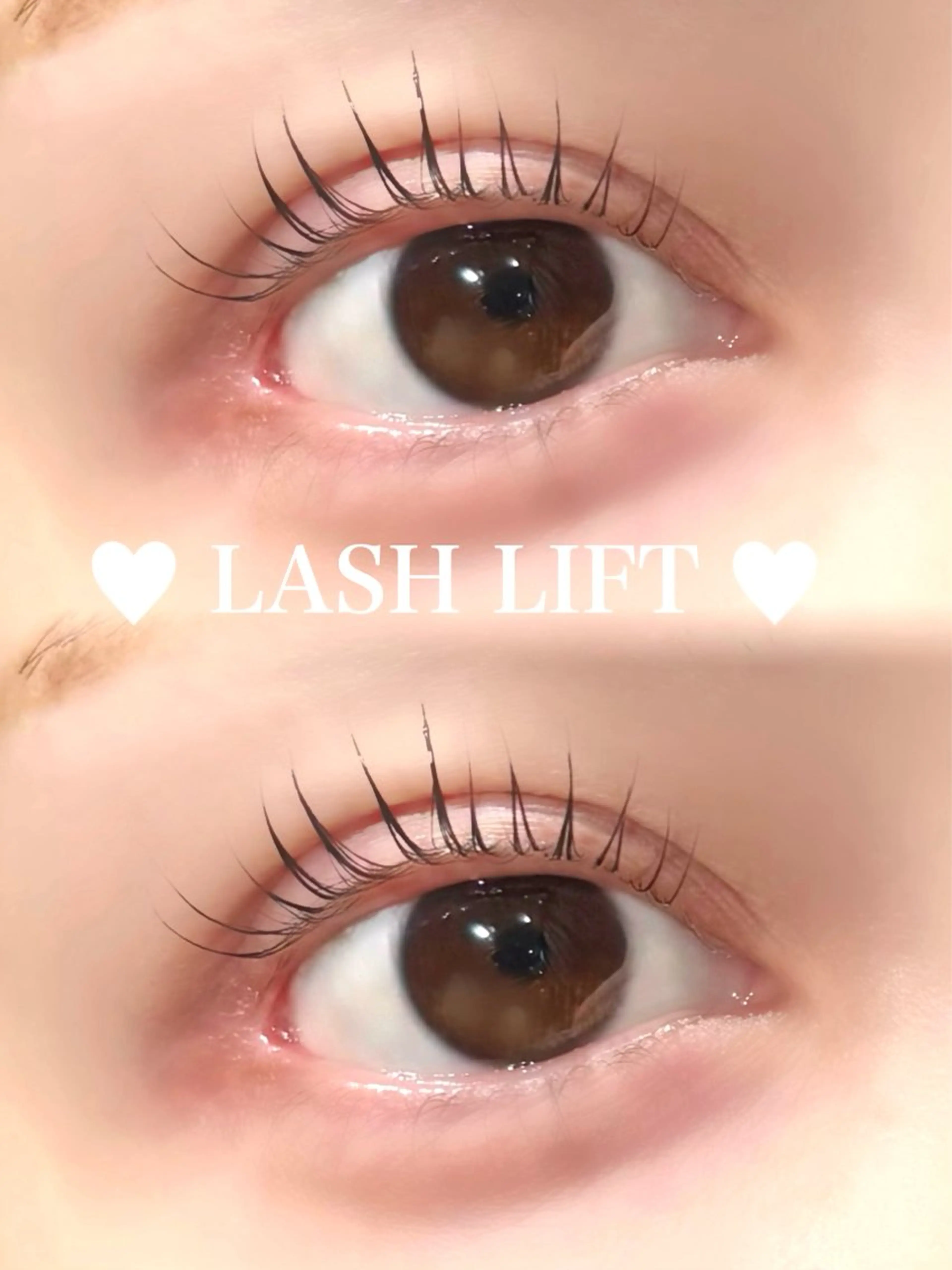 🤍パリジェンヌラッシュリフト🤍(マツパ変更可)の写真