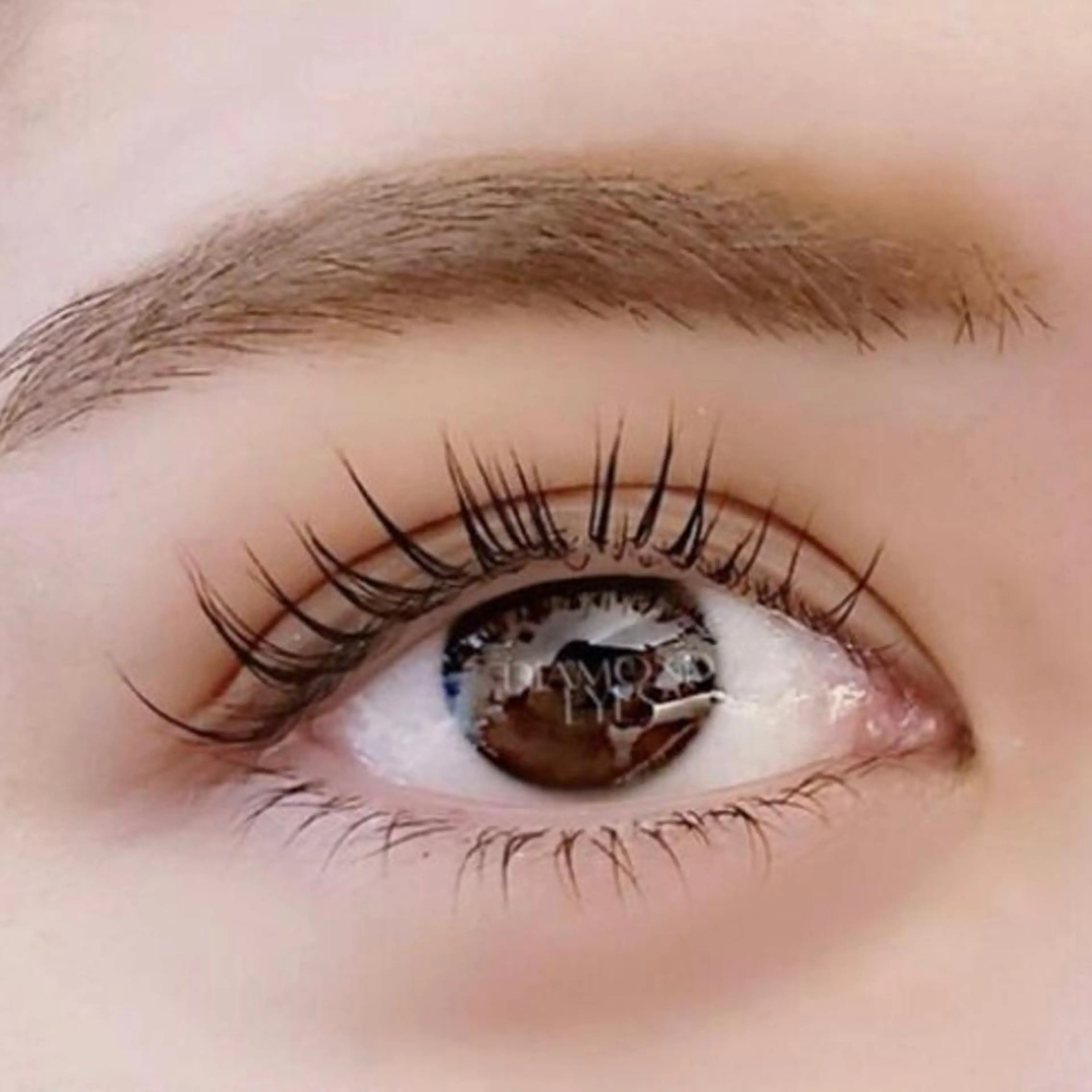 マツエク・マツパ マツパ TAIRA 新宿マルイ本館店5Fの眉毛・アイブロウイメージ