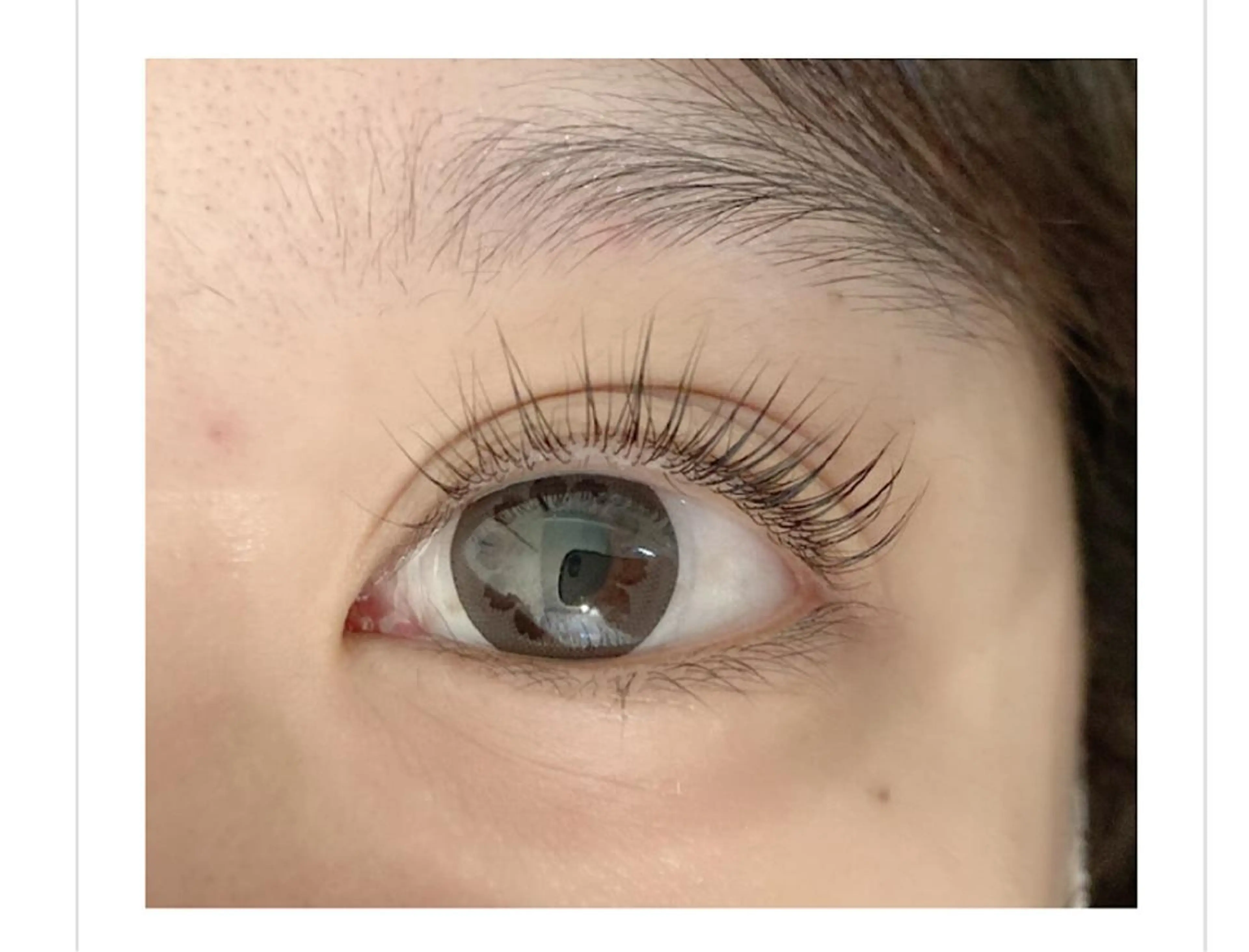 高技術★ベテラン施術★根元から上がるパリジェンヌラッシュリフト✨　￥5,900の写真