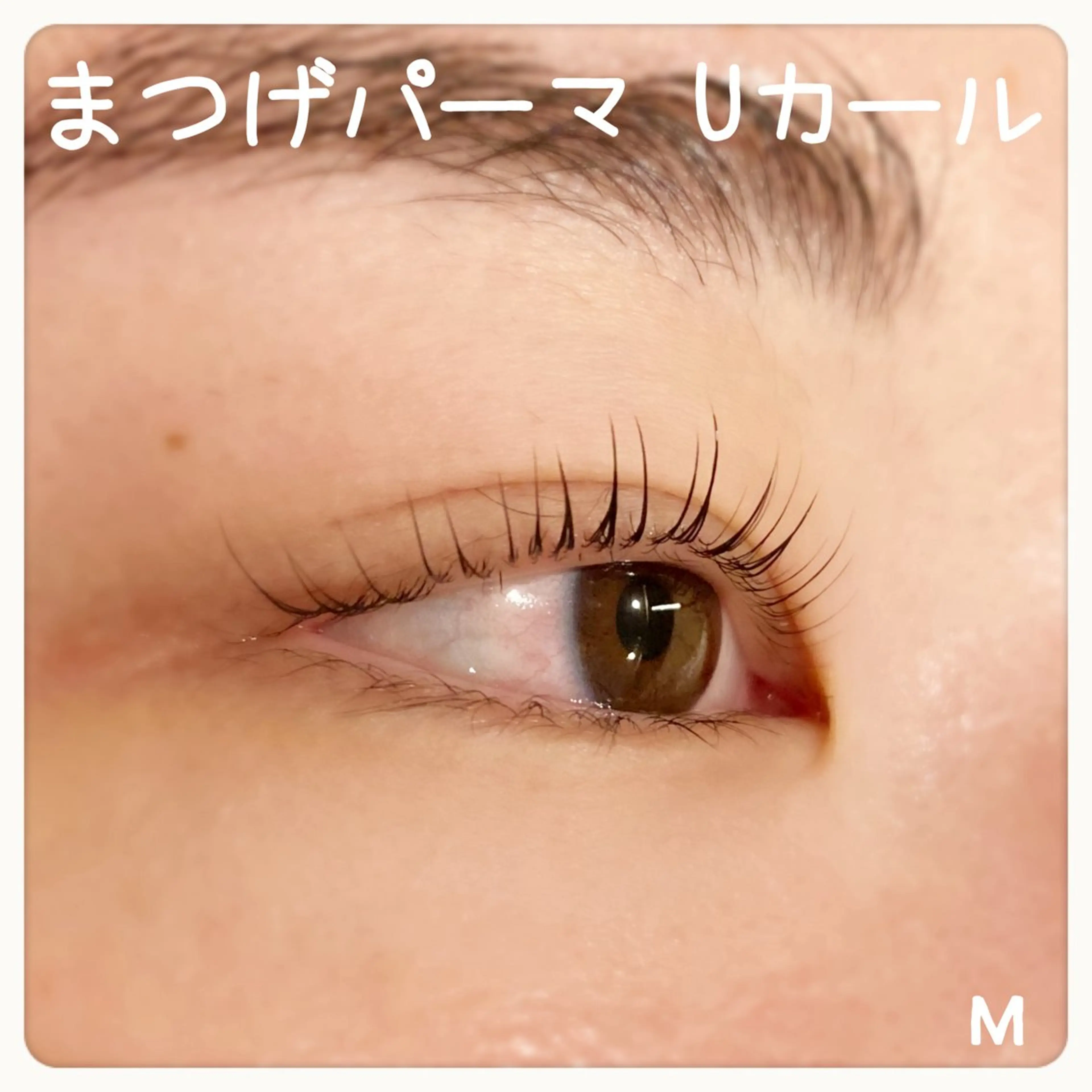マツエク・マツパ KUON EYELASH SALON所属・KUON 溝の口 megumiのマツエク・マツパデザイン