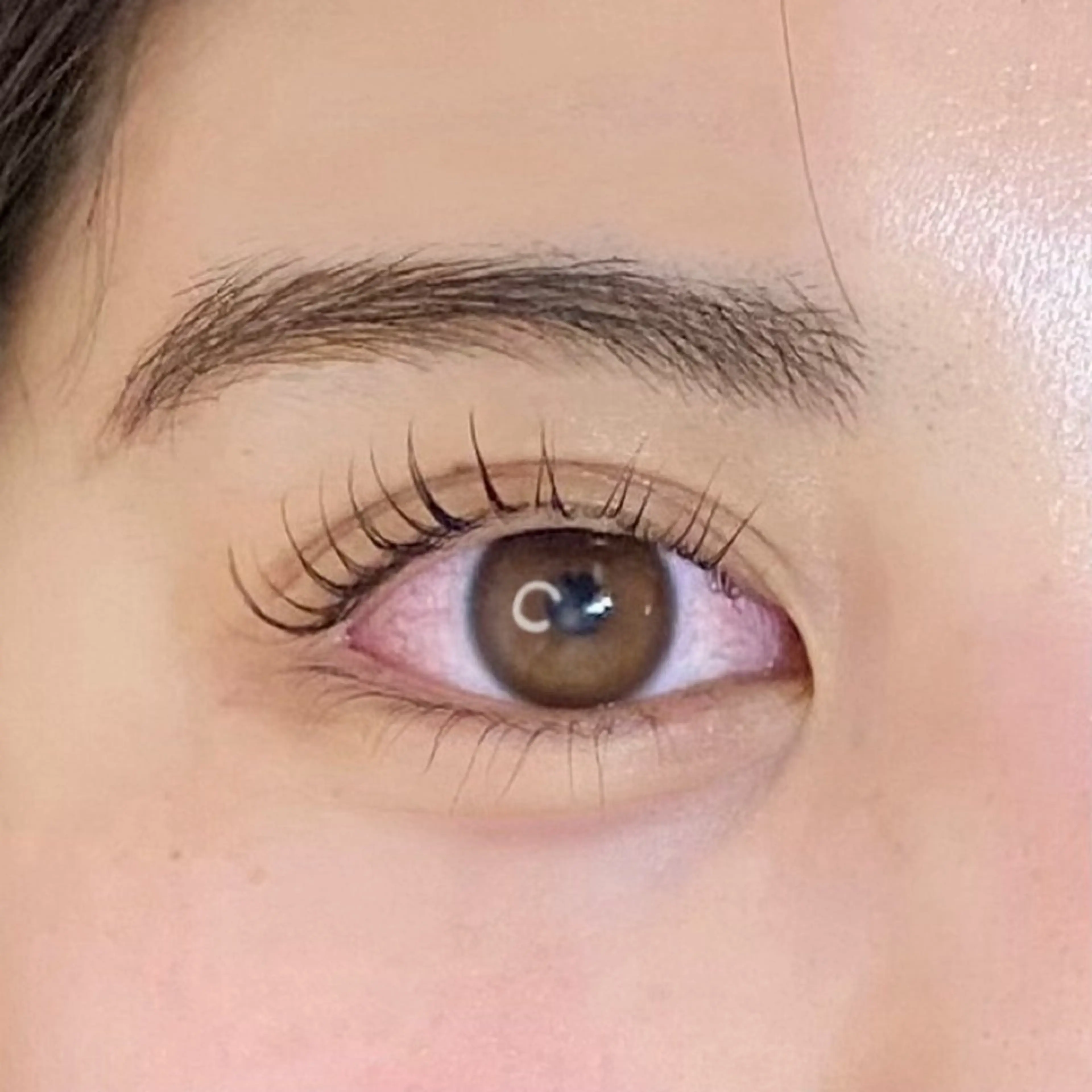 🌼ご新規限定🌼まつ毛パーマ(上のみ)  所要時間70分前後の写真