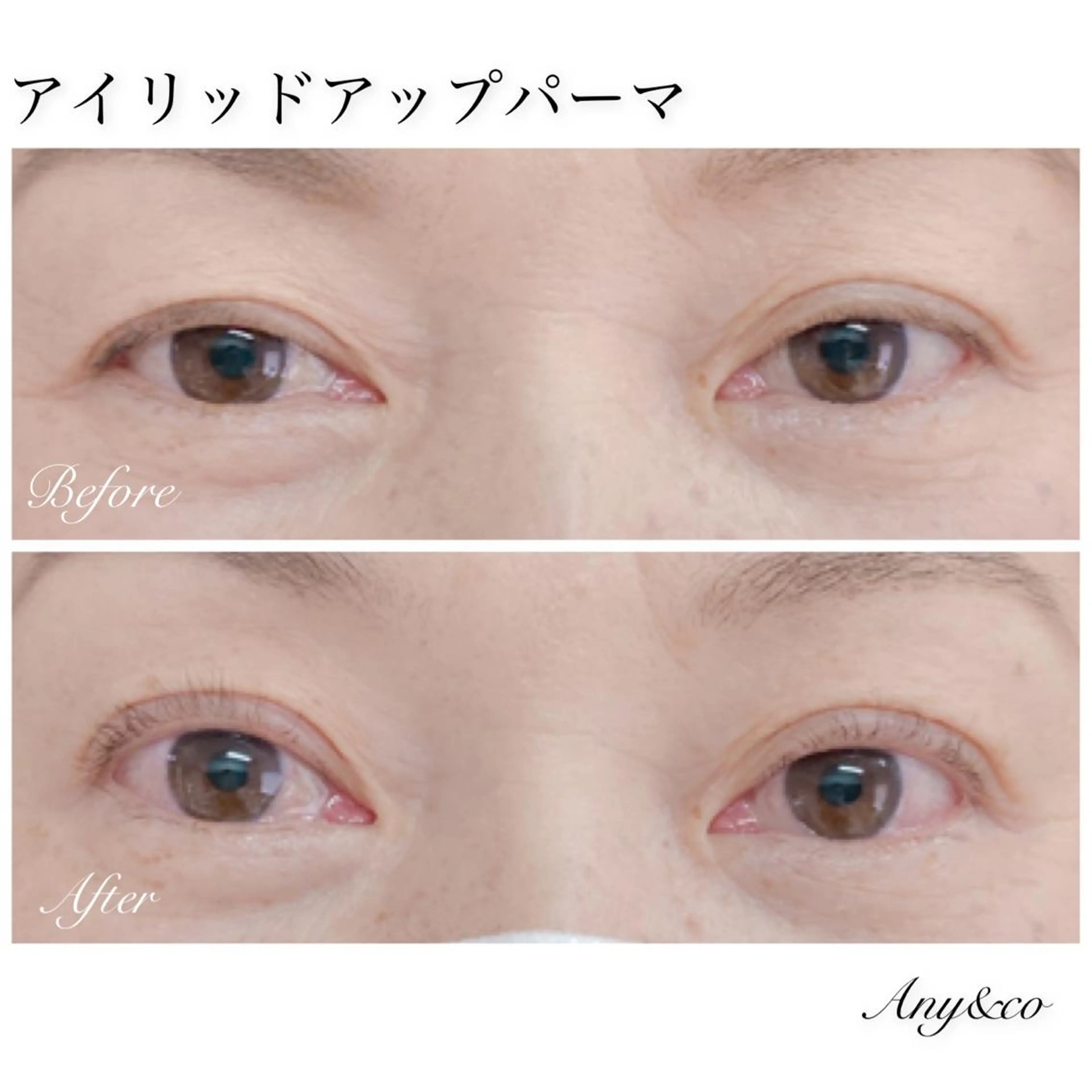 マツエク・マツパ アイリッドアップパーマ Any&co 【エニコ】のマツエク・マツパデザイン