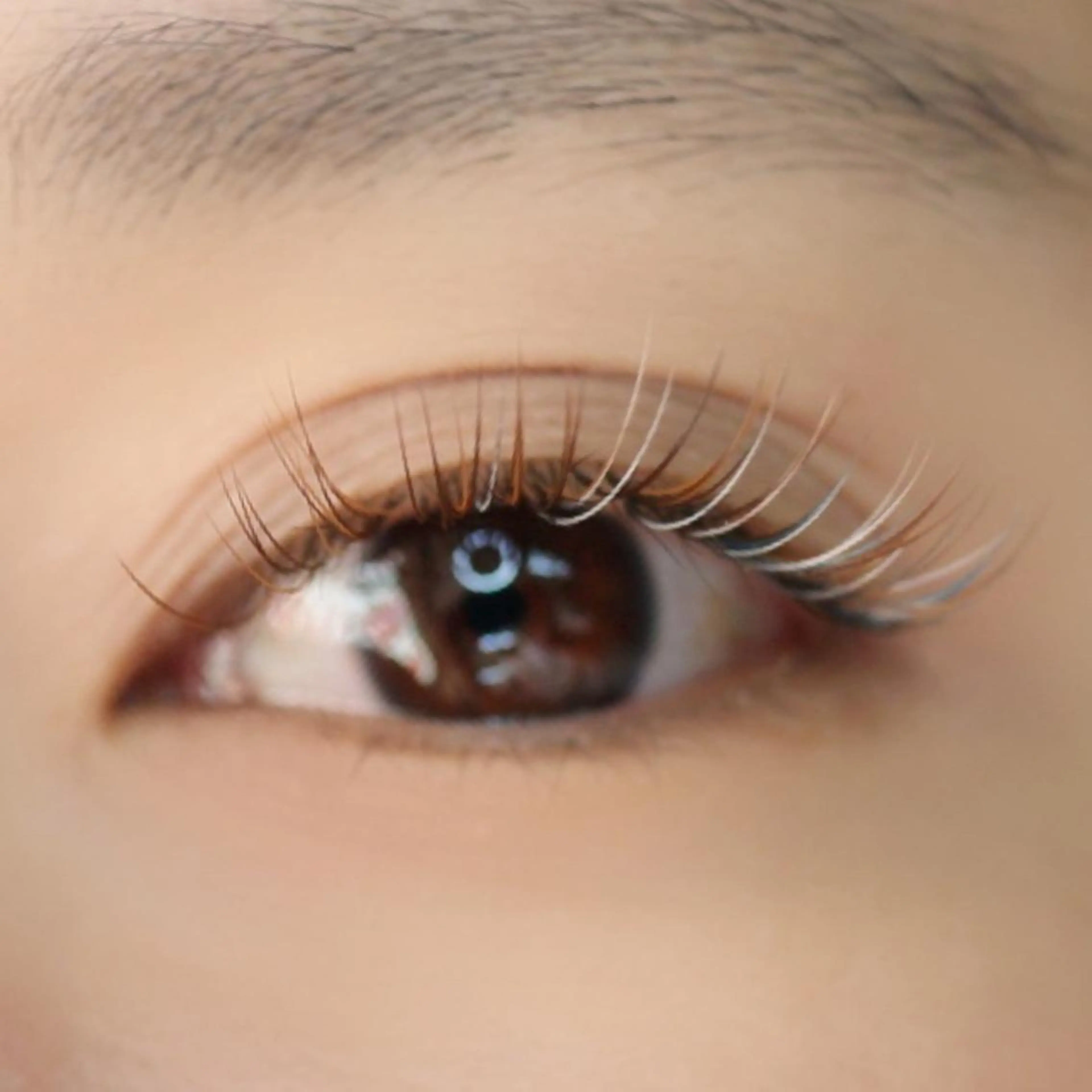 マツエク・マツパ カラーマツエク ジュルビアン美容室所属・ジュルビアン 美容室のエステ・リラクイメージ