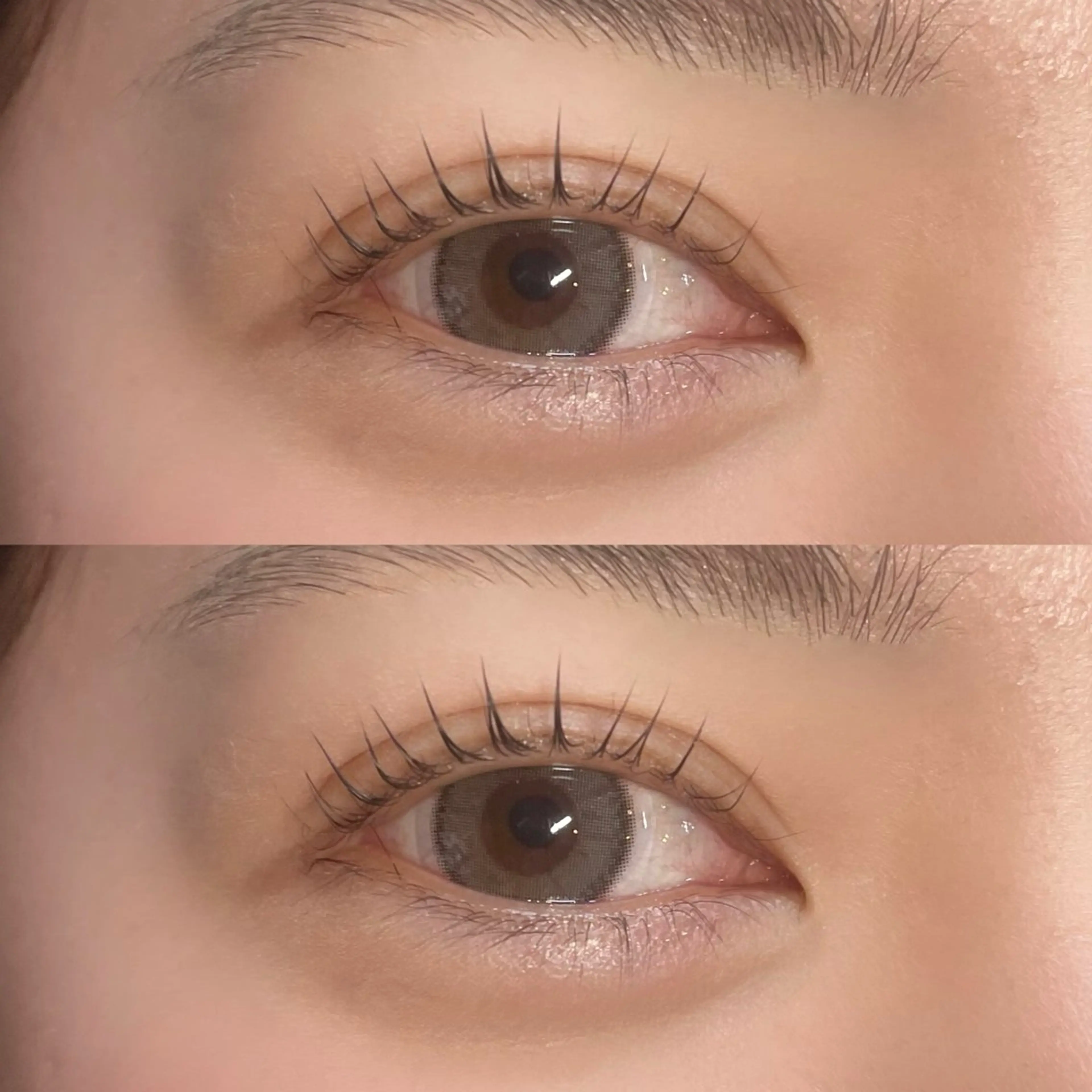 【‼️12月限定800円オフ】⏰40分から60分⏰✨似合わせまつ毛パーマ✨【上のみ】🎀【藤沢 湘南】【指名料込み】の写真