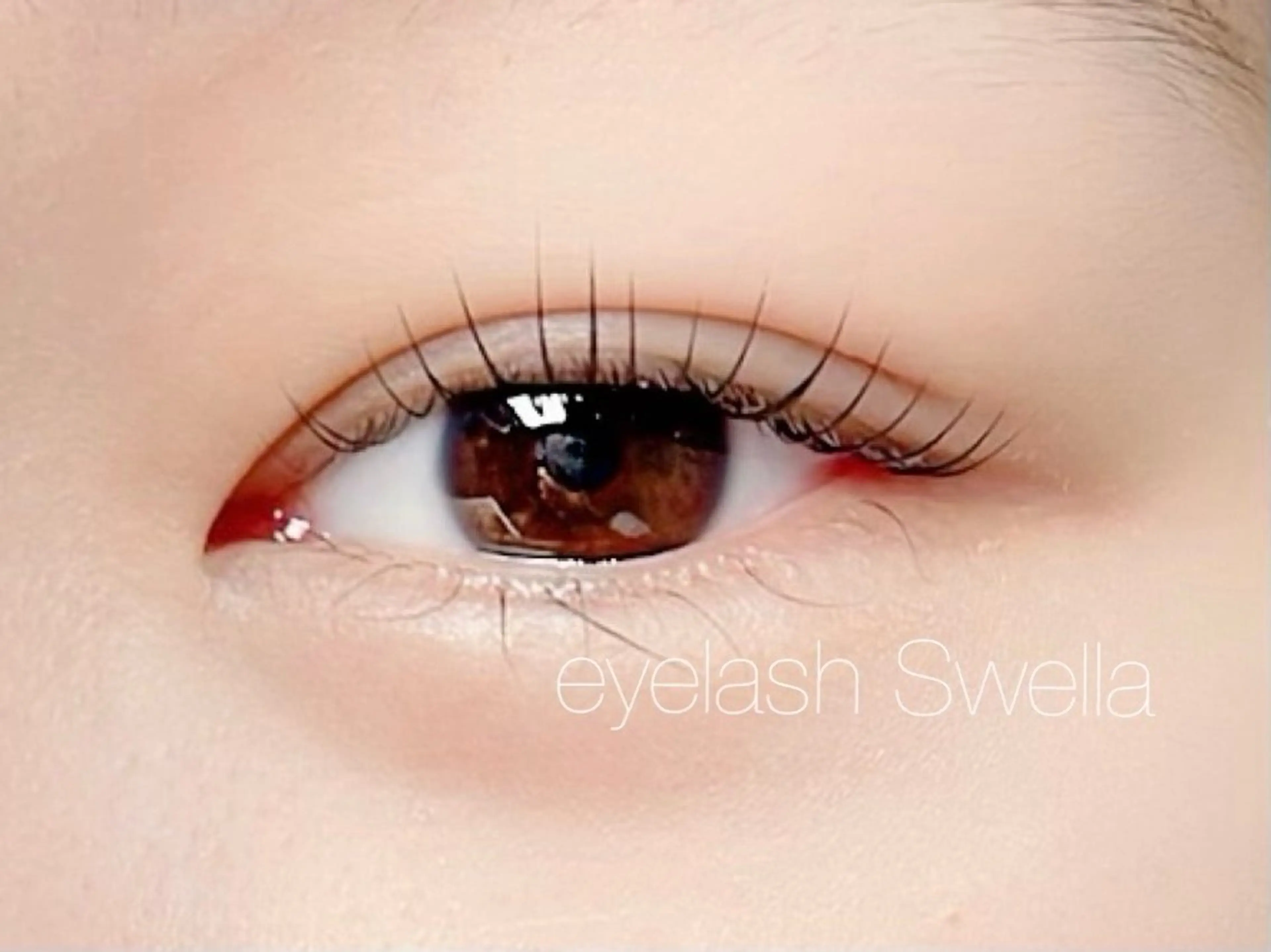 マツエク・マツパ MOMOE 恵比寿 まつげパーマのマツエク・マツパデザイン