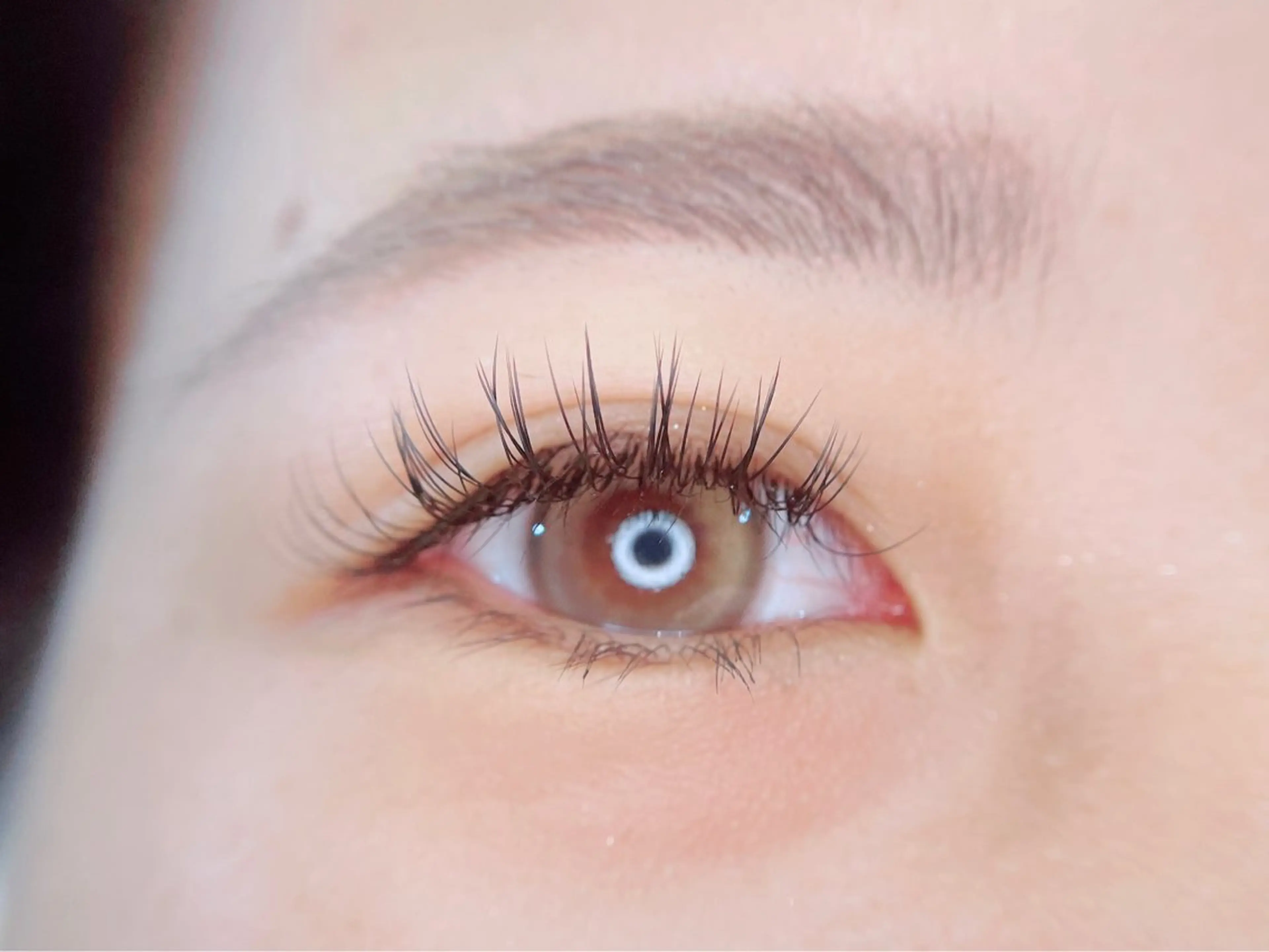 フラットラッシュ100本の写真