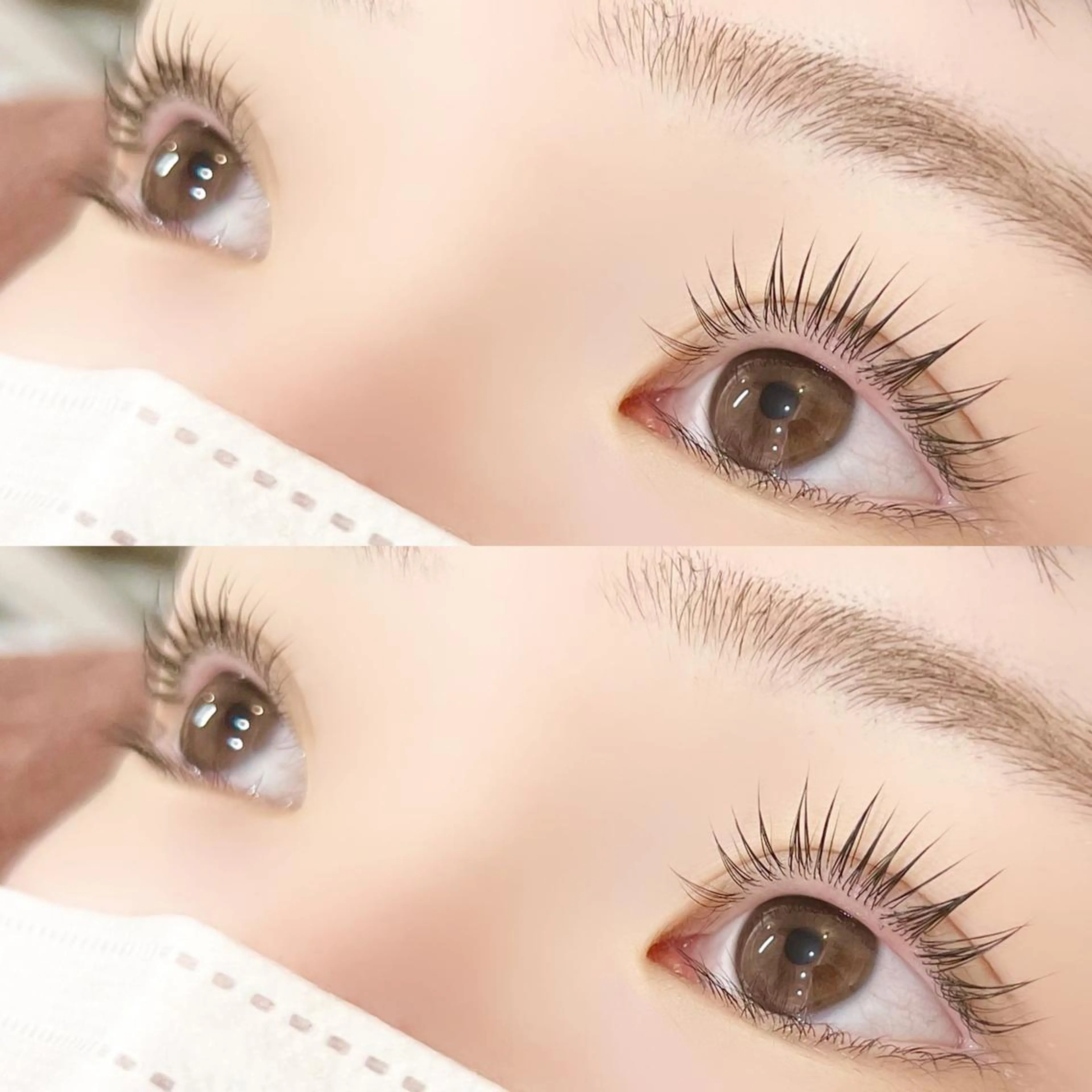 【🩶新規🩶】パリジェンヌラッシュリフトorまつ毛カール🫶🏻（美容液付き💫）の写真