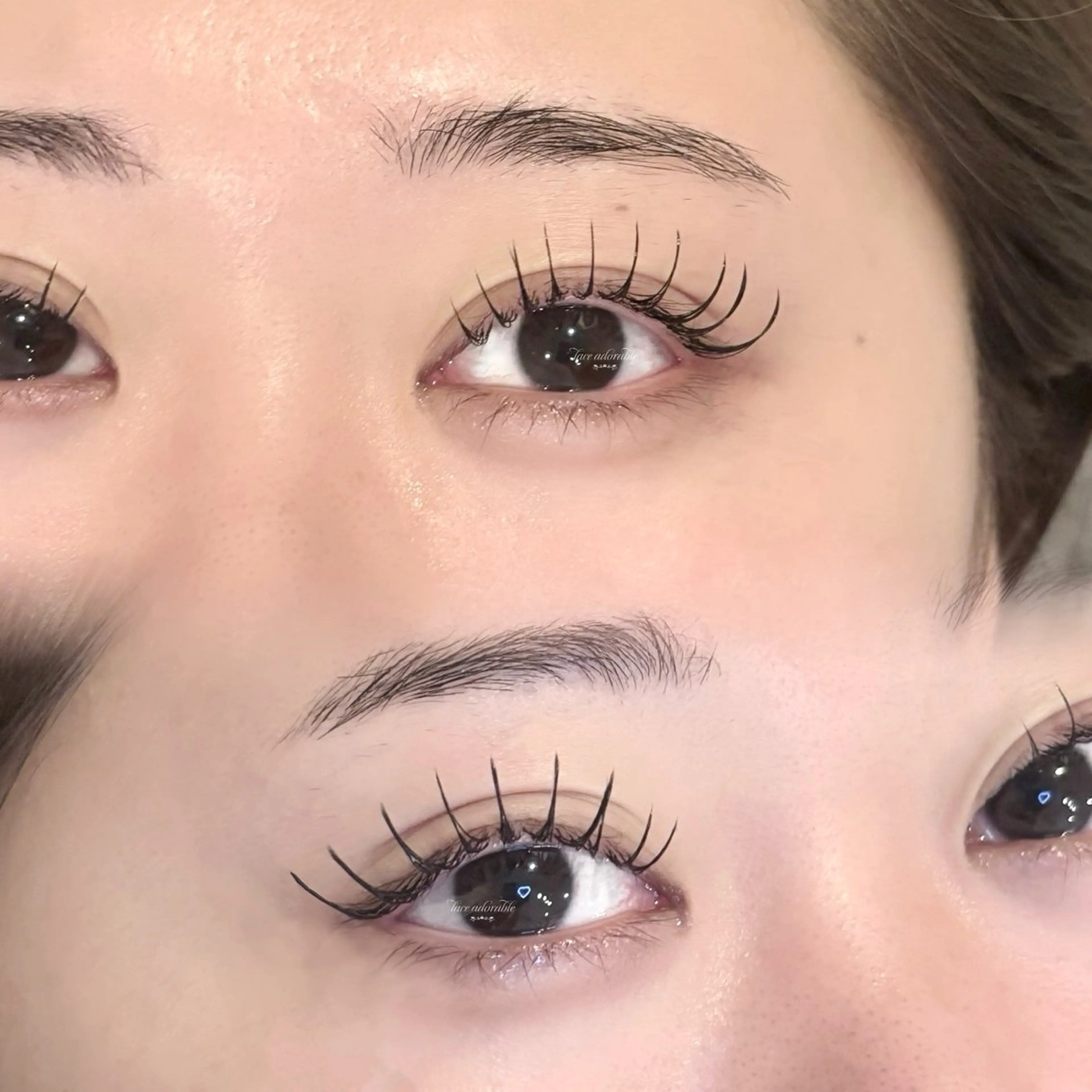 フラットラッシュ160本の写真