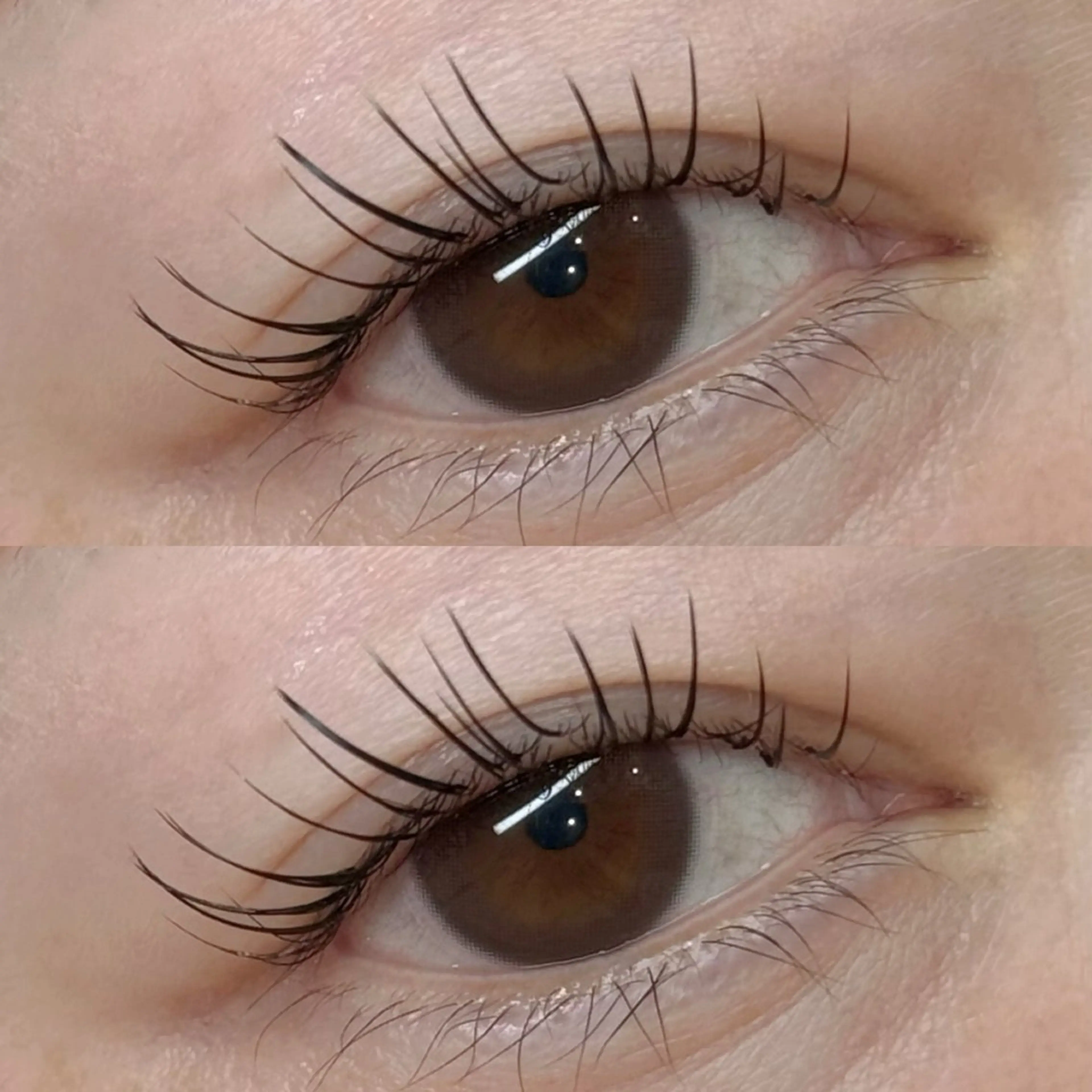 マツエク・マツパ MEME🐰 上本町/谷九のマツエク・マツパデザイン