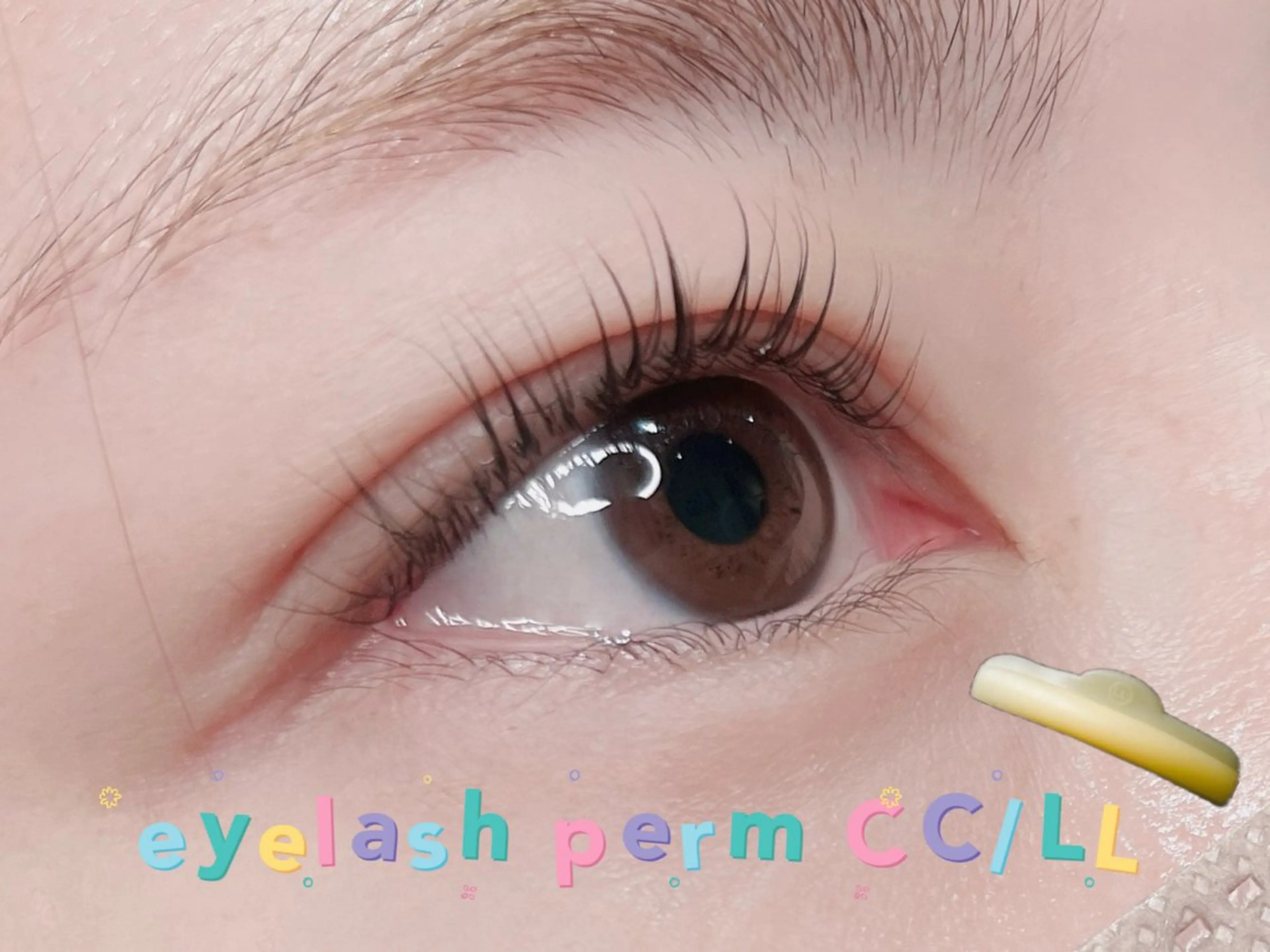 マツエク・マツパ CCカール Cカール 一重×まつ毛パーマ マツパ 若松 絵美のマツエク・マツパデザイン