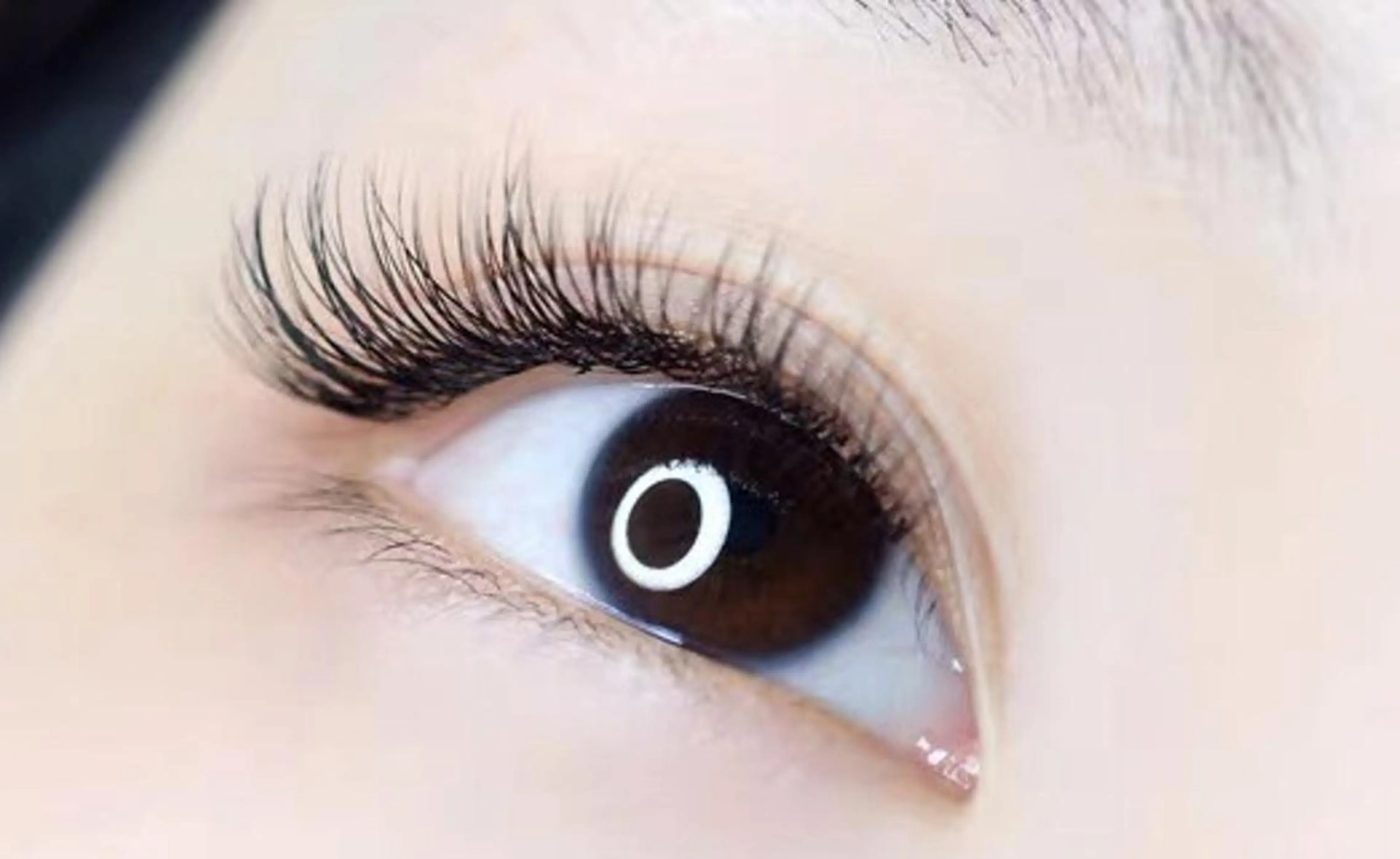 マツエク・マツパ Cute beauty2のマツエク・マツパデザイン