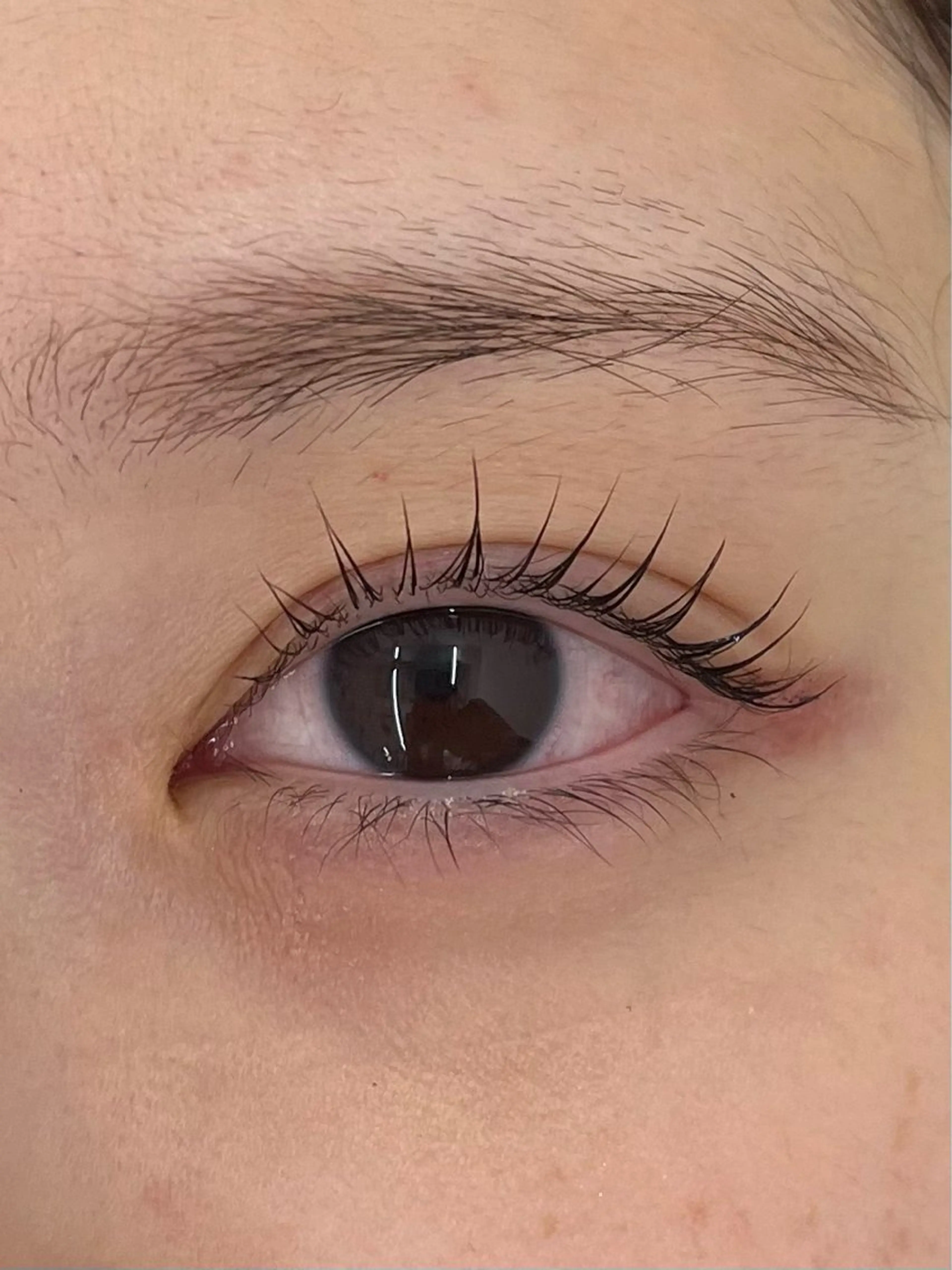 マツエク・マツパ 一重×まつ毛パーマ diptymoila hinataのマツエク・マツパデザイン