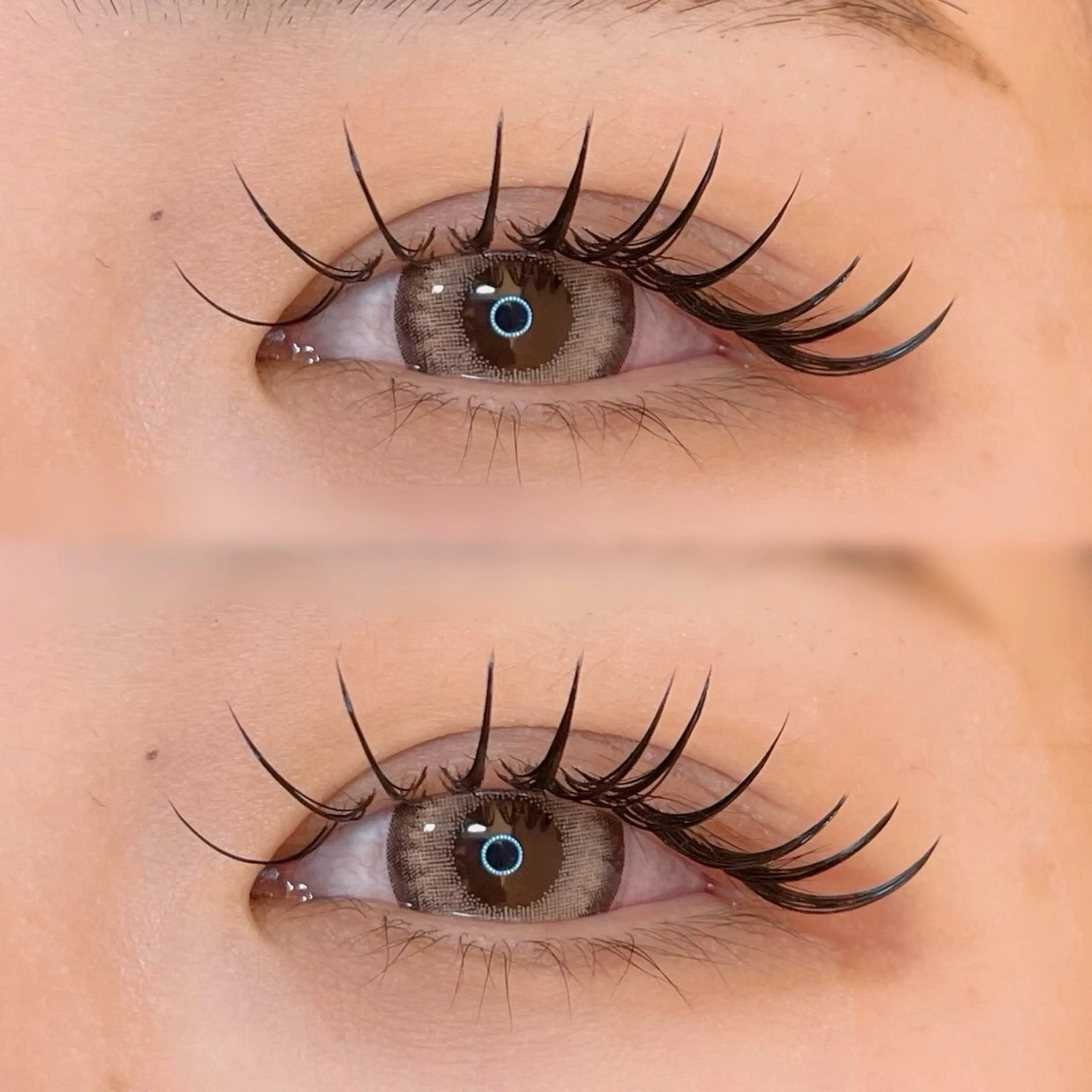 🪽バインドロック140束🪽の写真