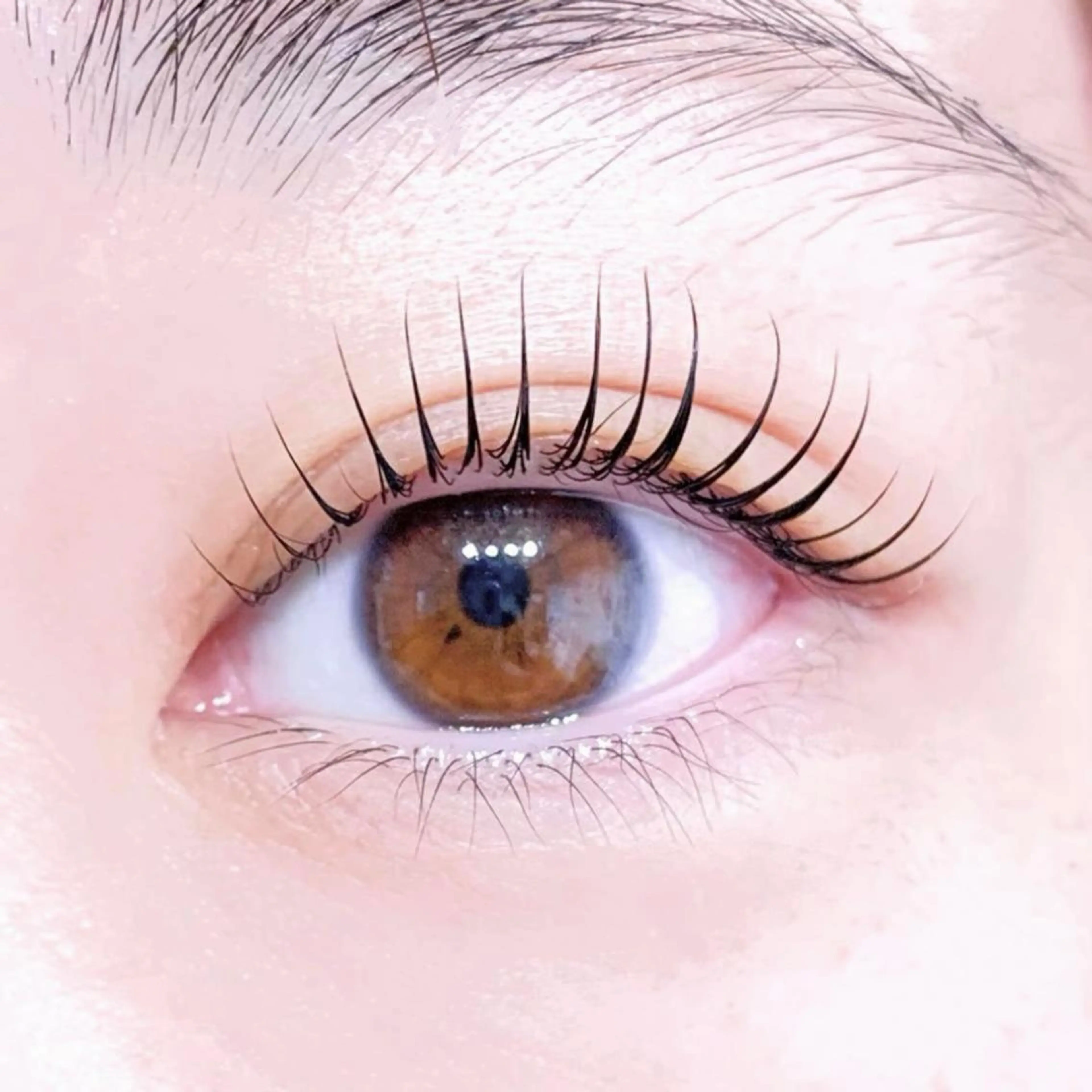 ラッシュリフト*高持続・毛質改善トリートメント込み✨の写真