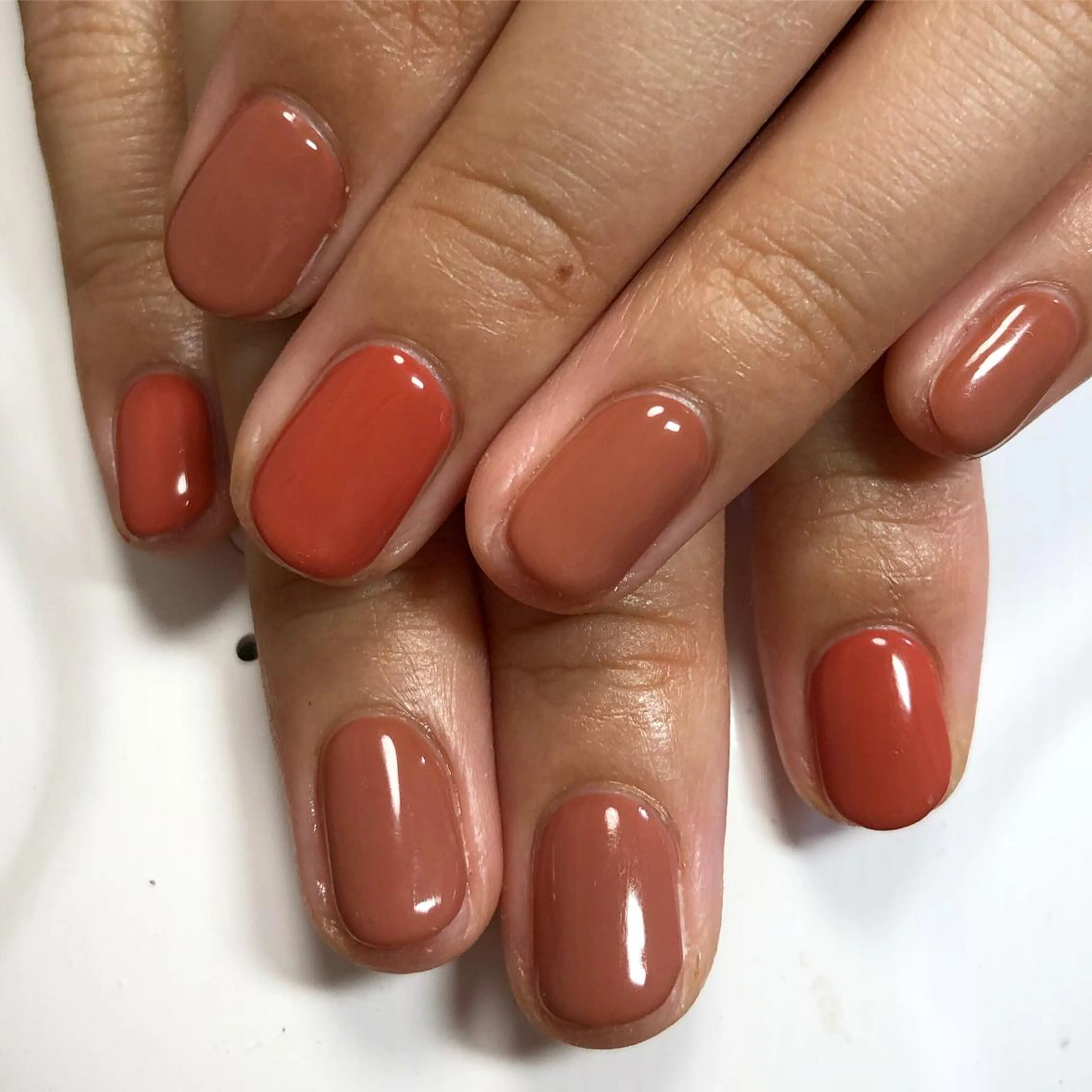 ワンカラー(オフ有は別途)の写真