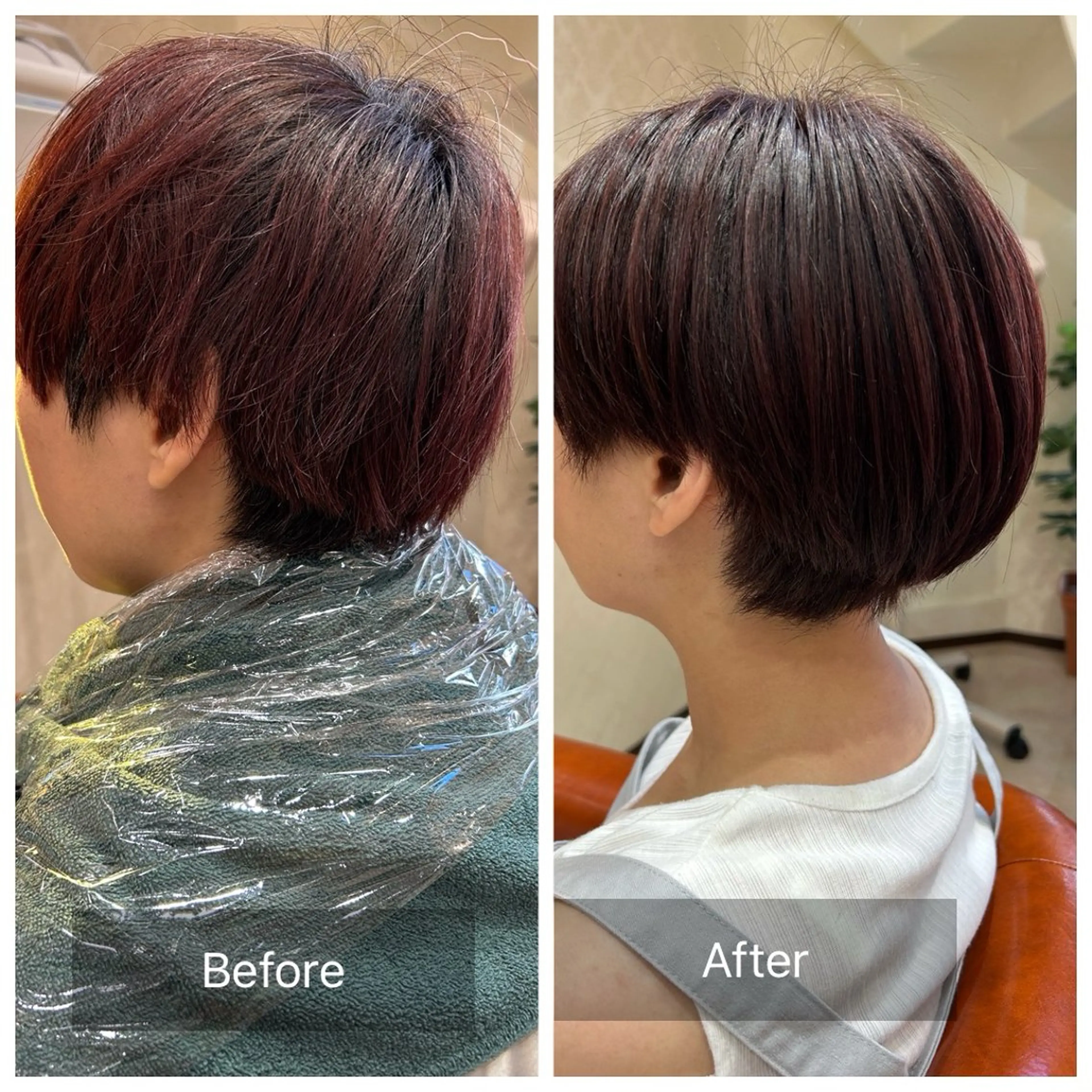 ショート カラー 白幡 彩香のヘアスタイル