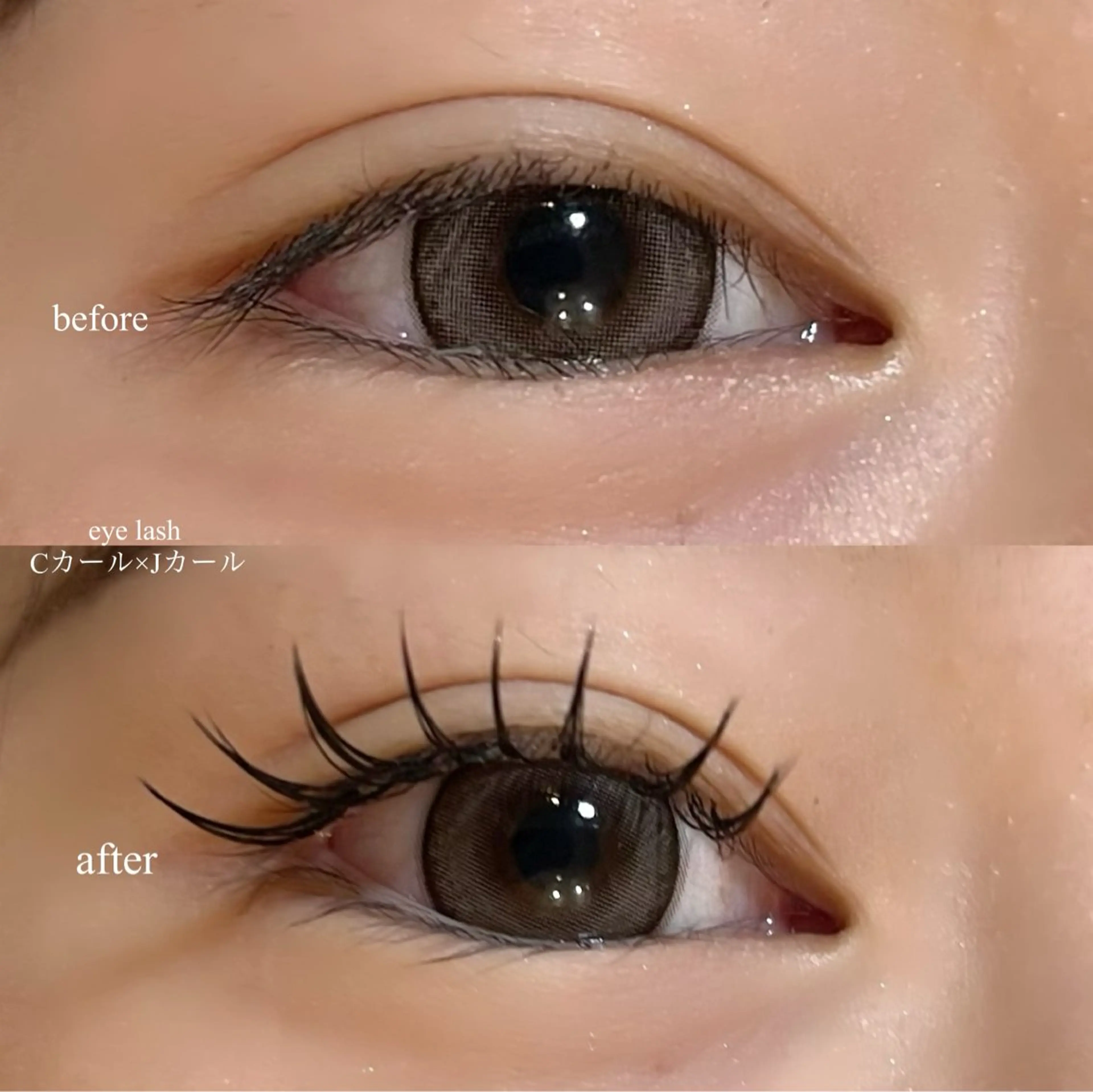 マツエク・マツパ mona 🎀韓国まつパ/眉毛のマツエク・マツパデザイン