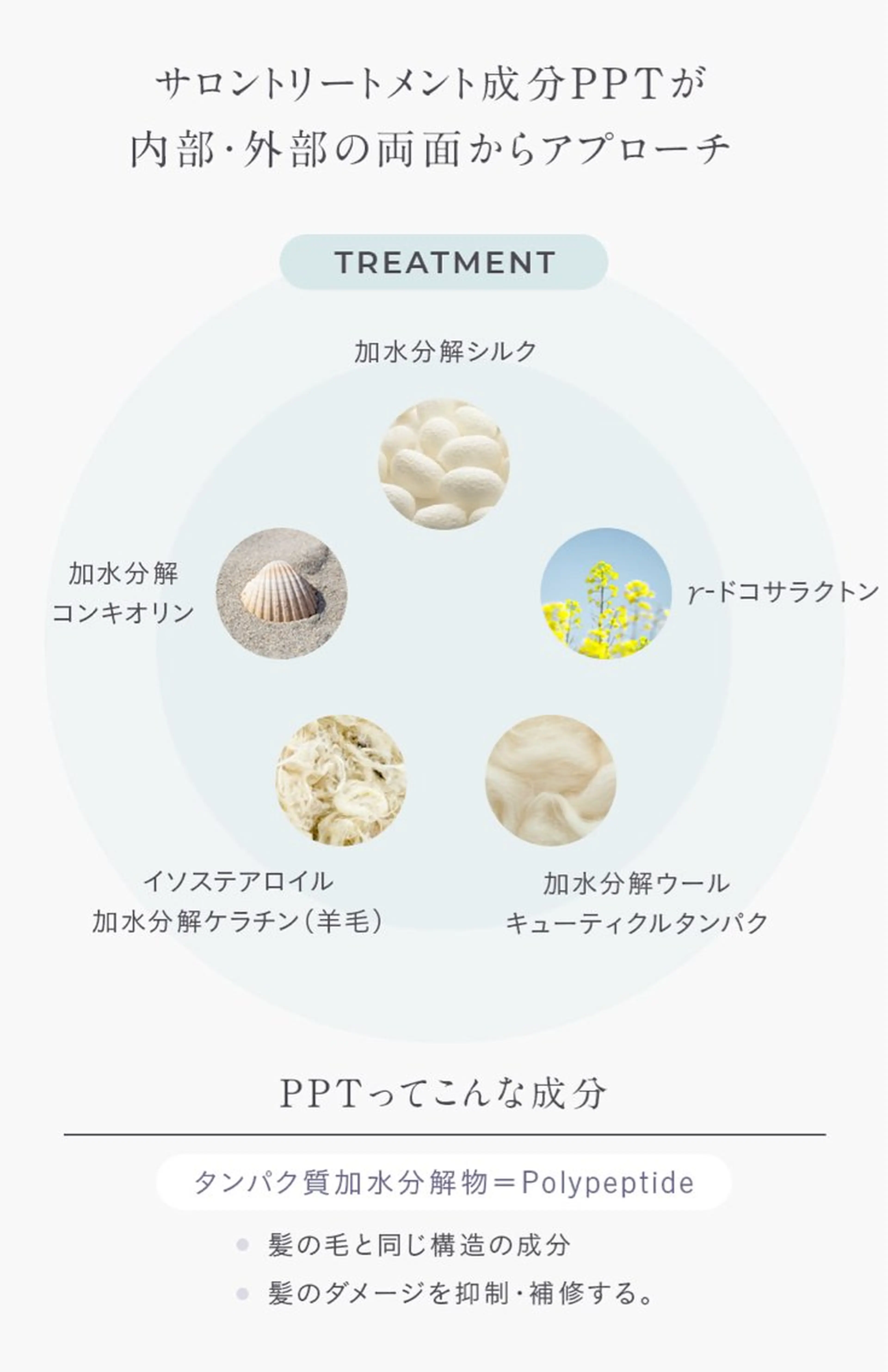 【✨大人気INBORNシリーズ✨】Premium Inborn Treatment￥9900🫧シャンプーブロー付き🫧の写真