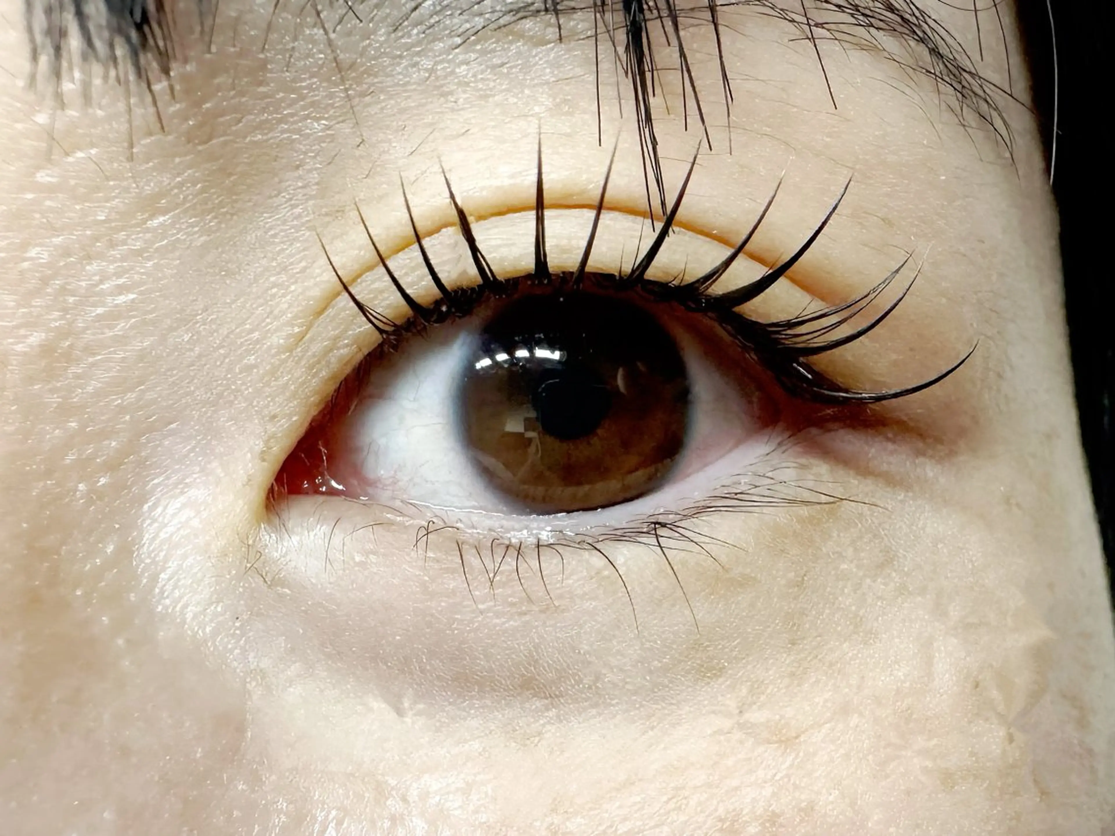 LEDマツエクフラットラッシュ120本まで❤️‍🔥他店オフ無料の写真