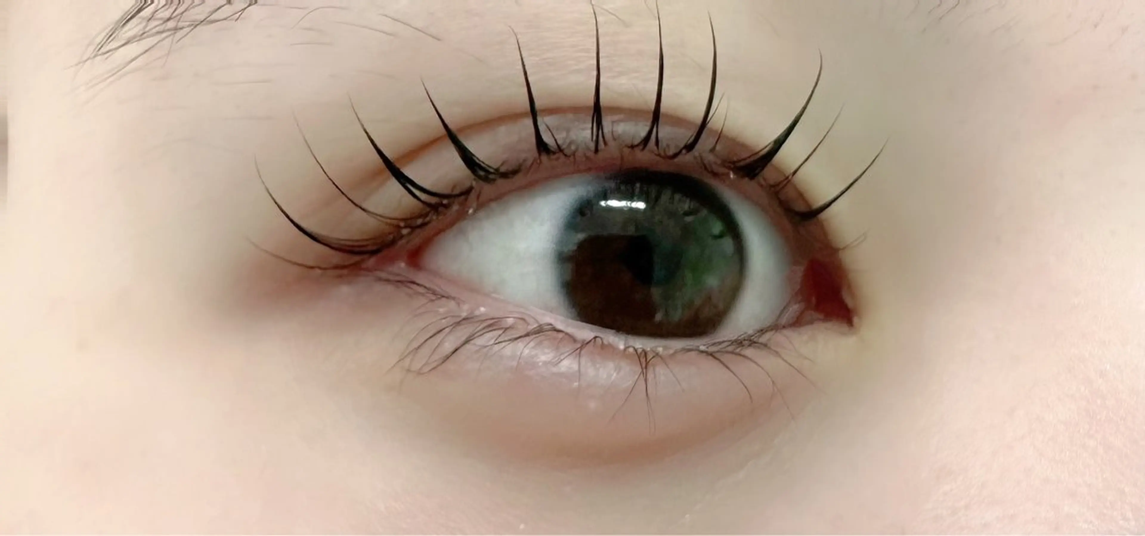 アイブロウ La ferisia 川崎のマツエク・マツパデザイン