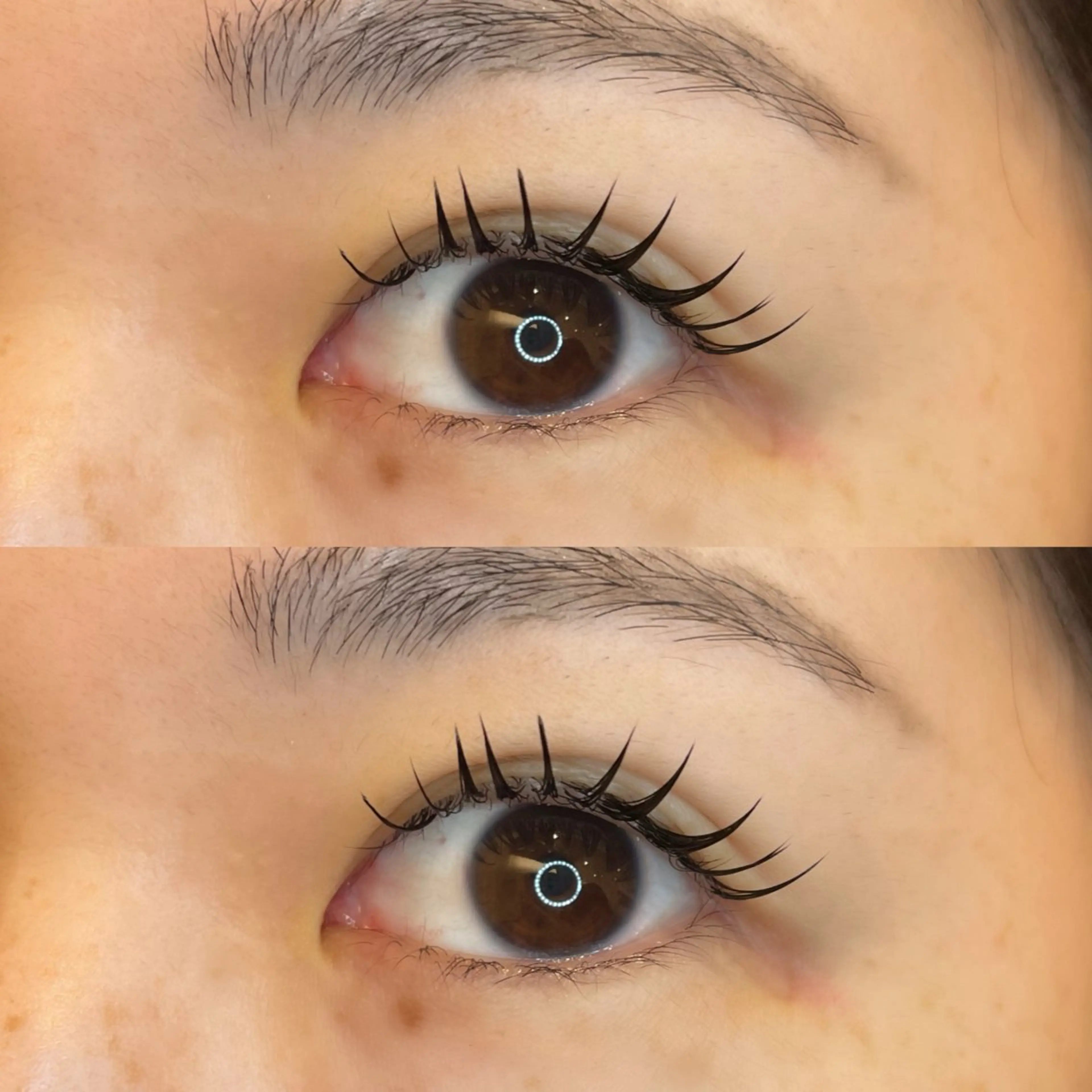 マツエク・マツパ No.3 前橋店所属・ひなの 🌼のマツエク・マツパデザイン