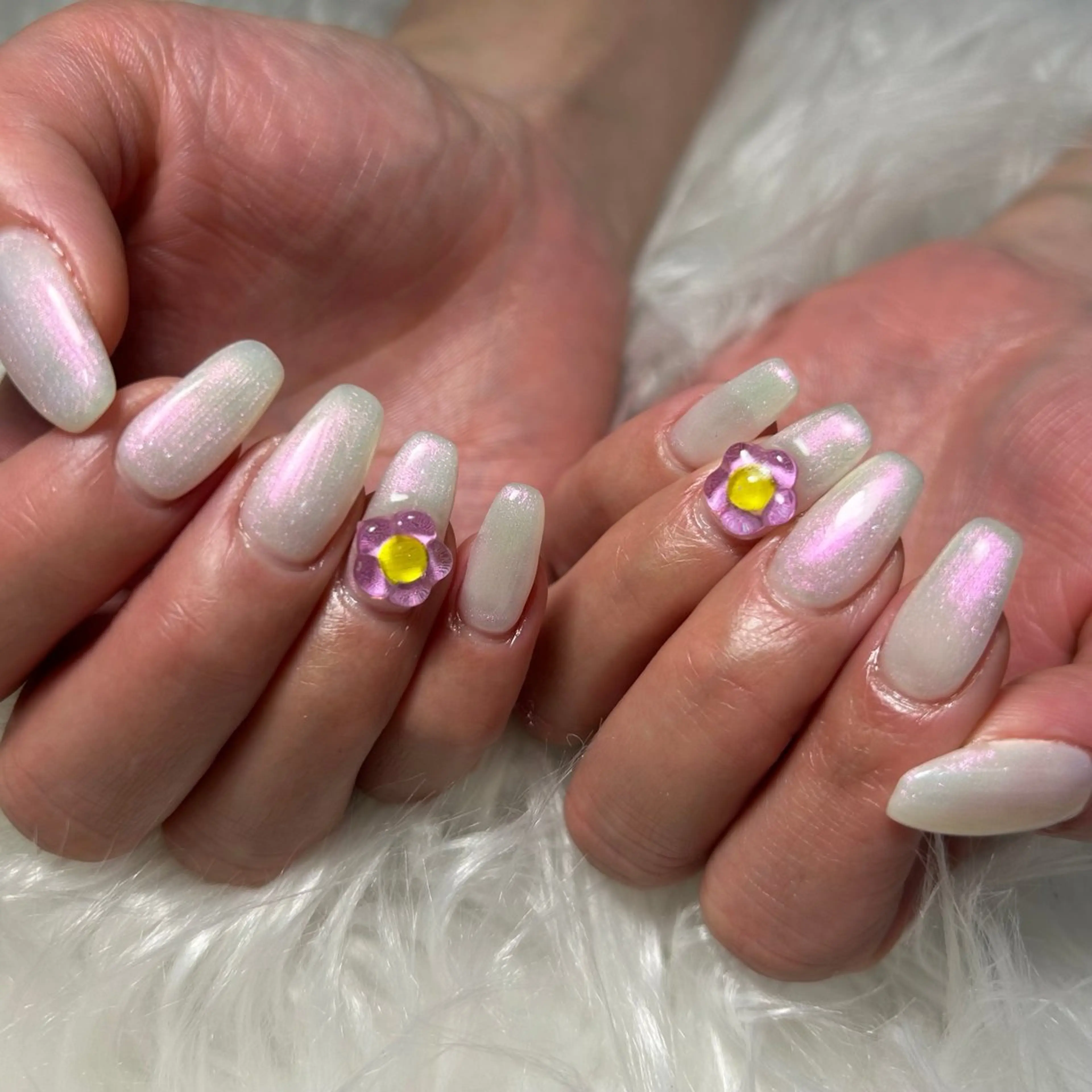 オフなし　ワンカラーの写真