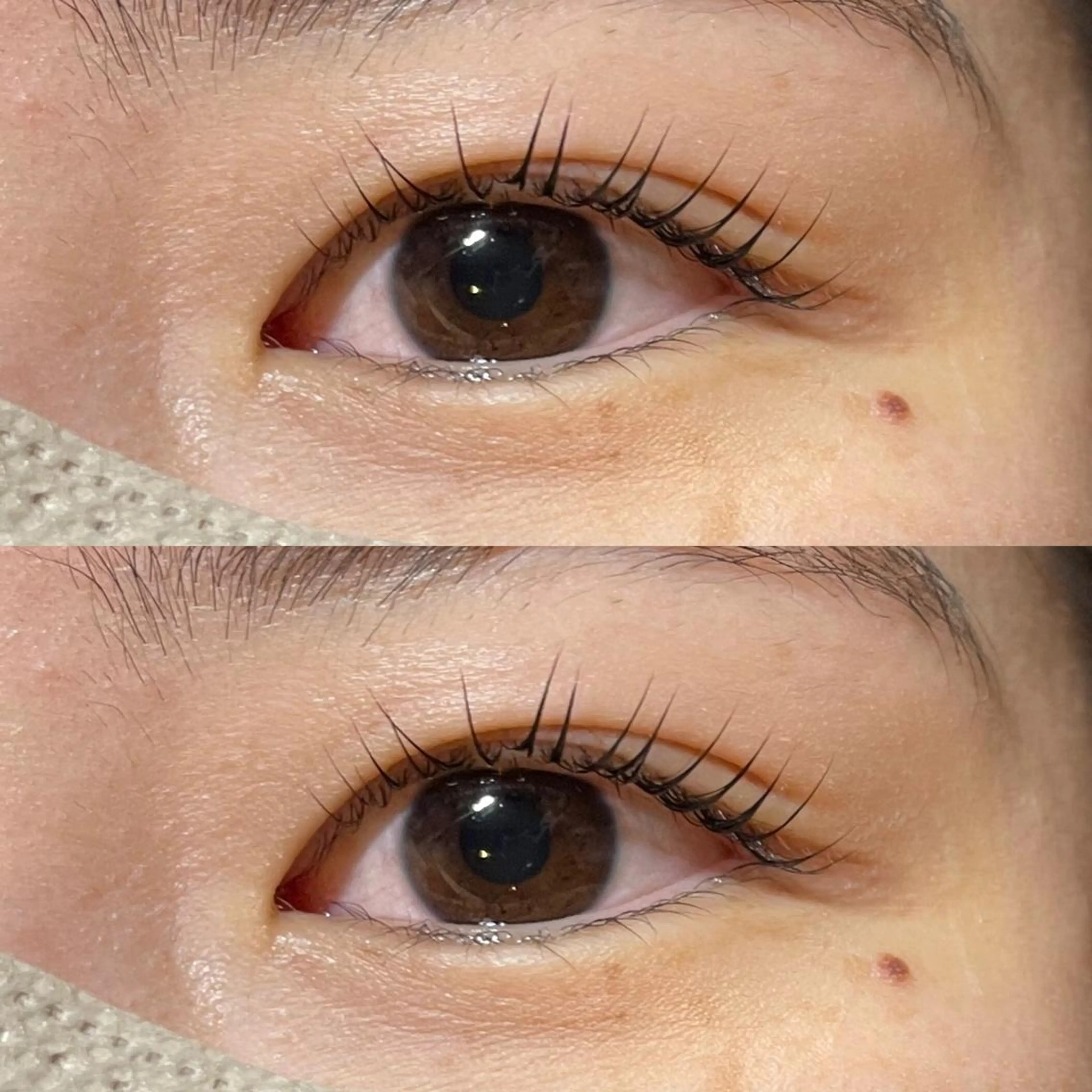 マツエク・マツパ パリジェンヌラッシュリフト scarlet asahiのマツエク・マツパデザイン