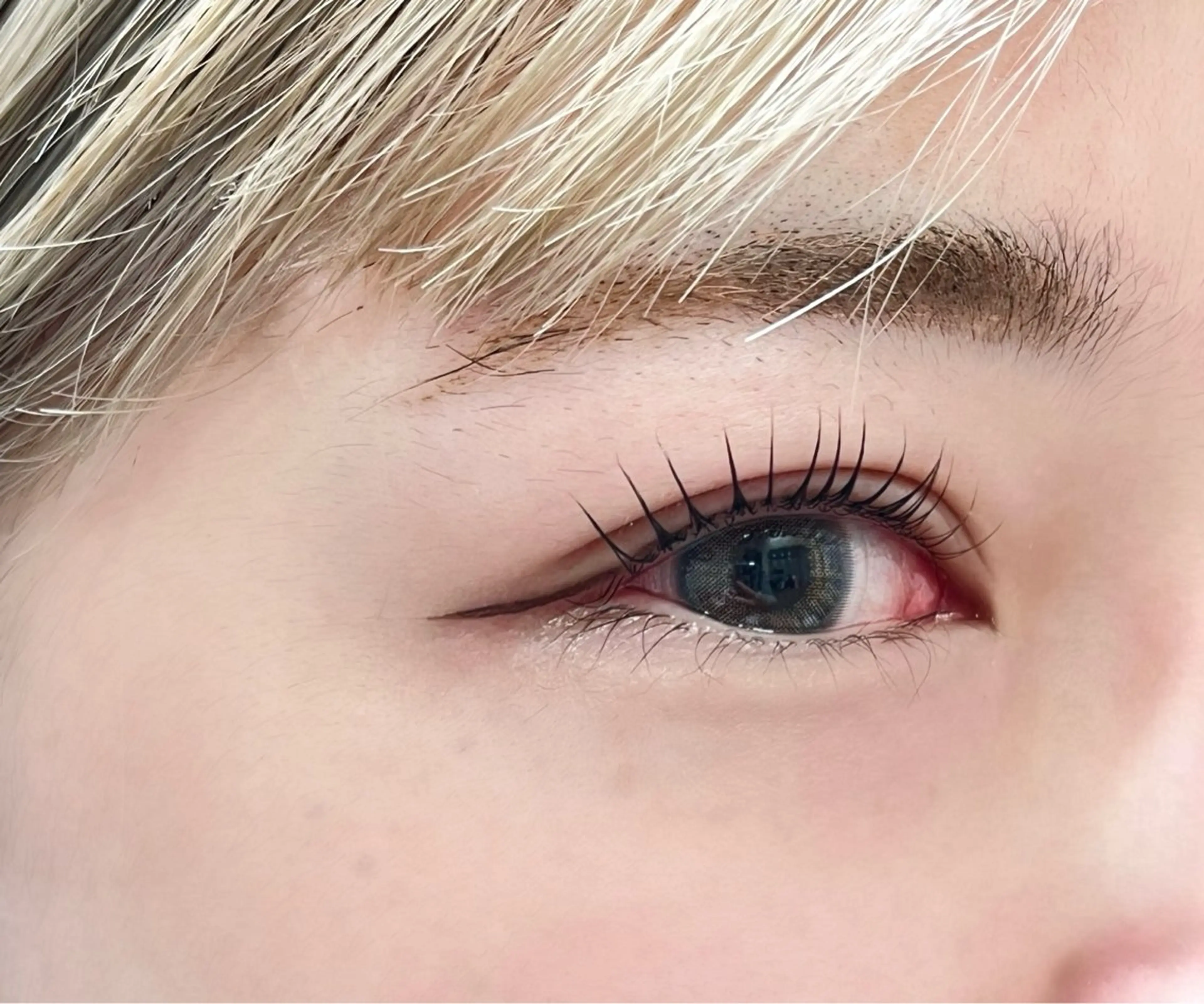 新規 上下ラッシュリフト トリートメント込みの写真