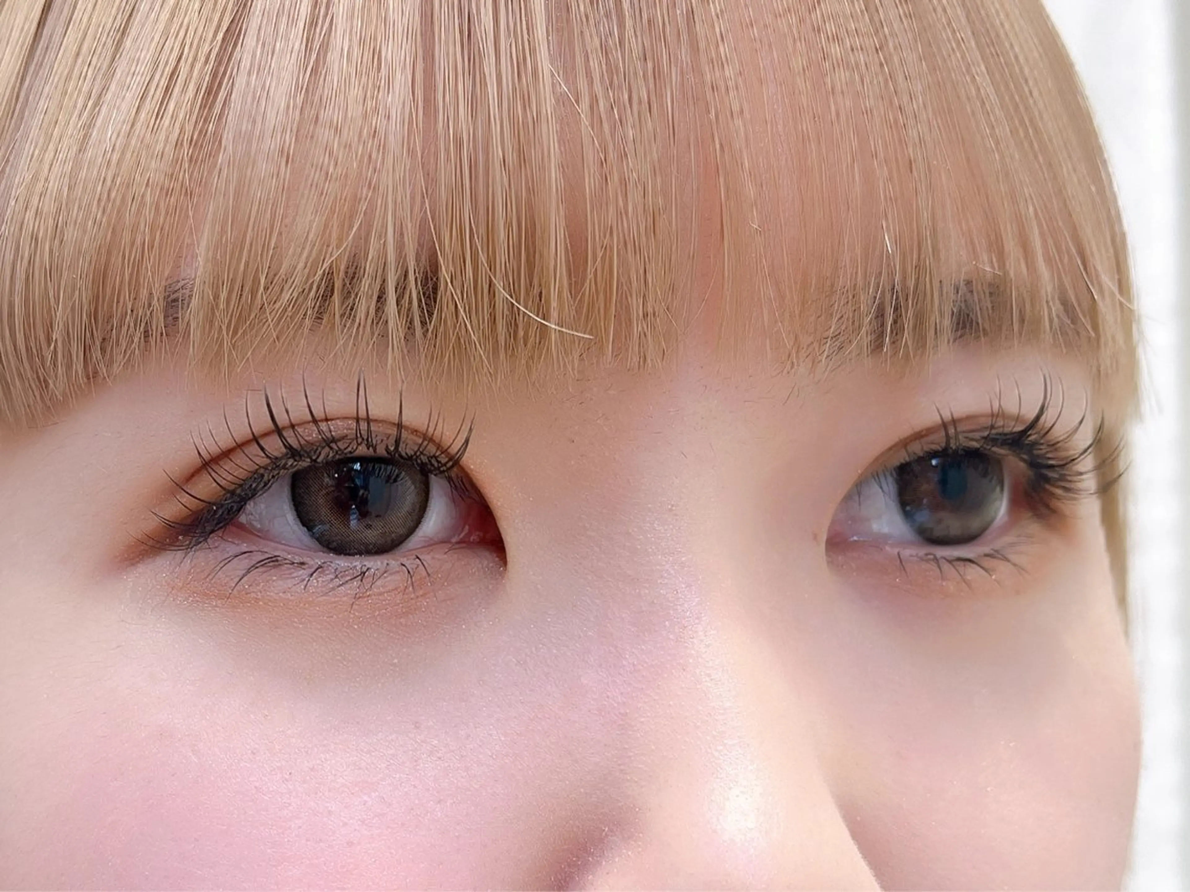 【育毛ケア付き✨】💛フラットラッシュ80本💛の写真