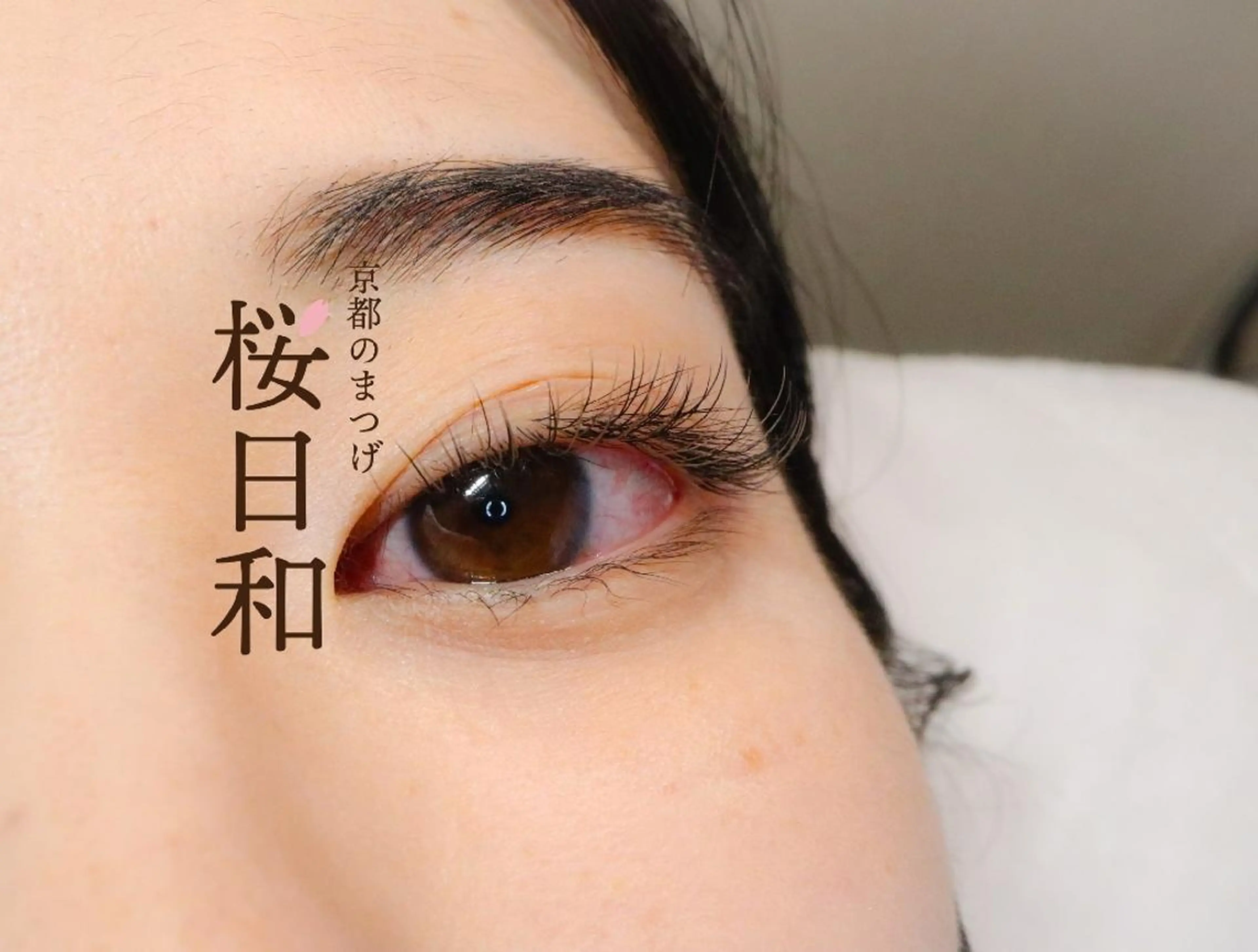 マツエク・マツパ フラットラッシュ 京都のまつげ桜日和 小島美桜のマツエク・マツパデザイン