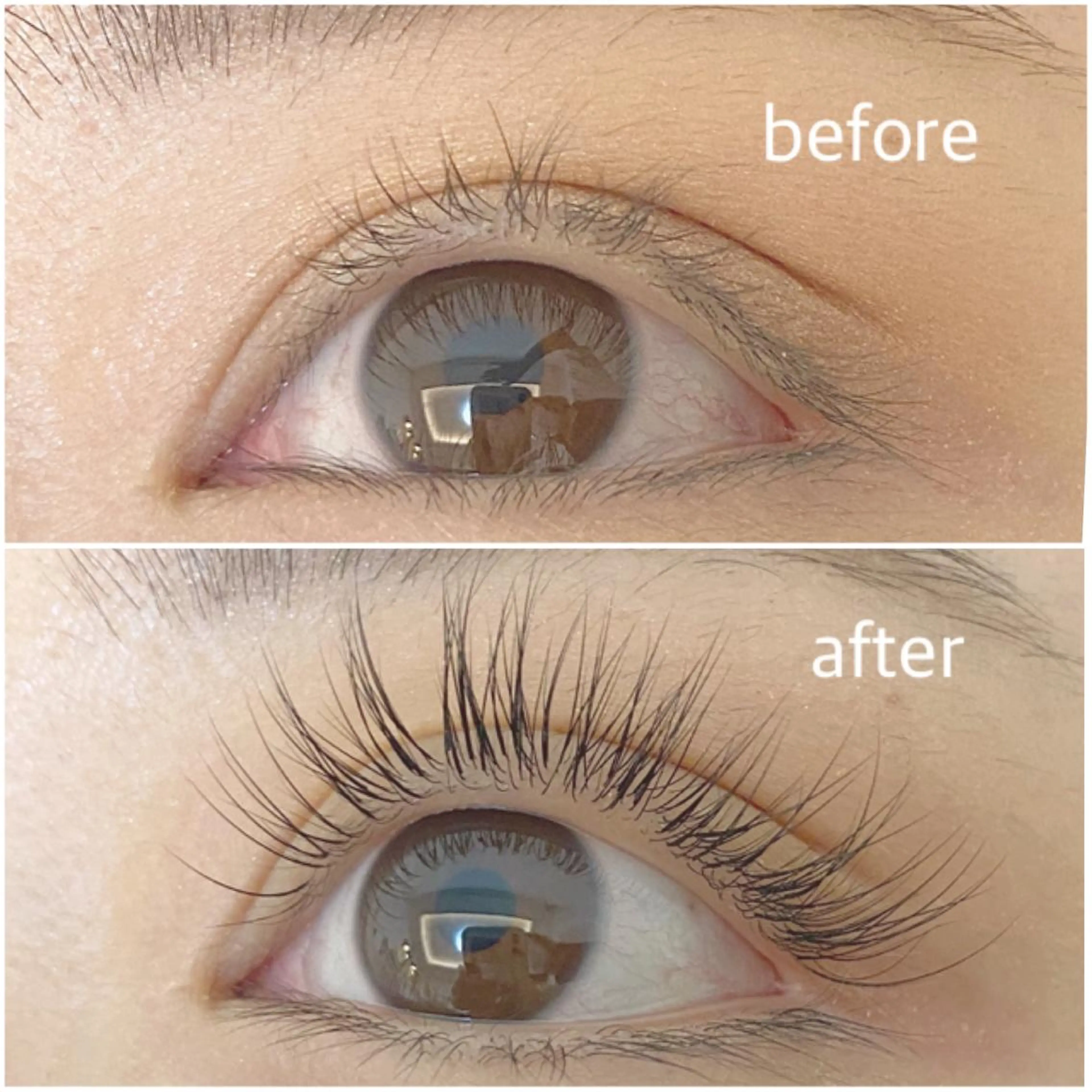 《🌷︎パリエク🌷》　　　　　　　　　　　　　　　　　　　パリジェンヌ+フラット80本🌷LED装着付き🦋の写真