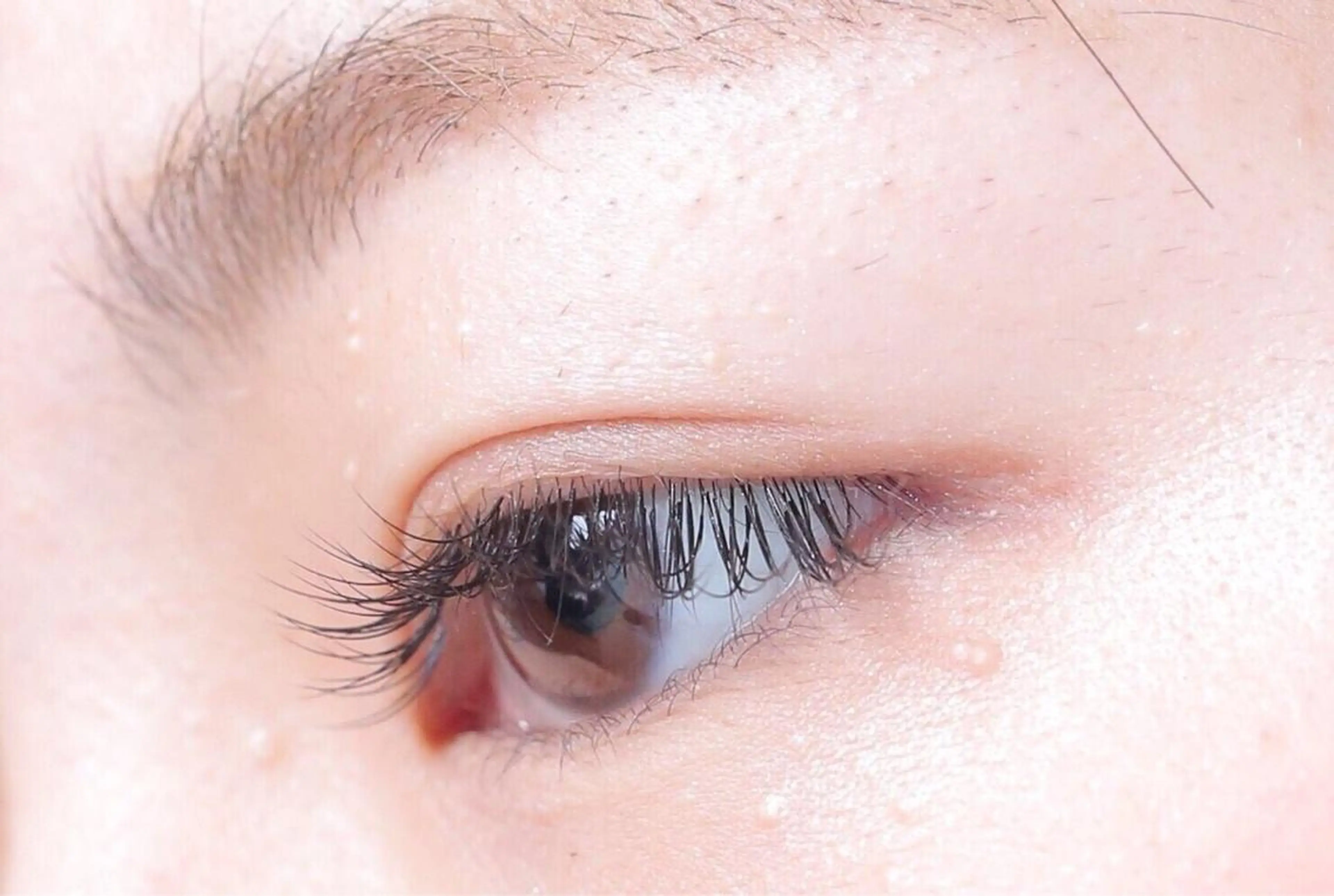 マツエク・マツパ Maho🍃 #池袋 #眉毛 #実績豊富の眉毛・アイブロウイメージ